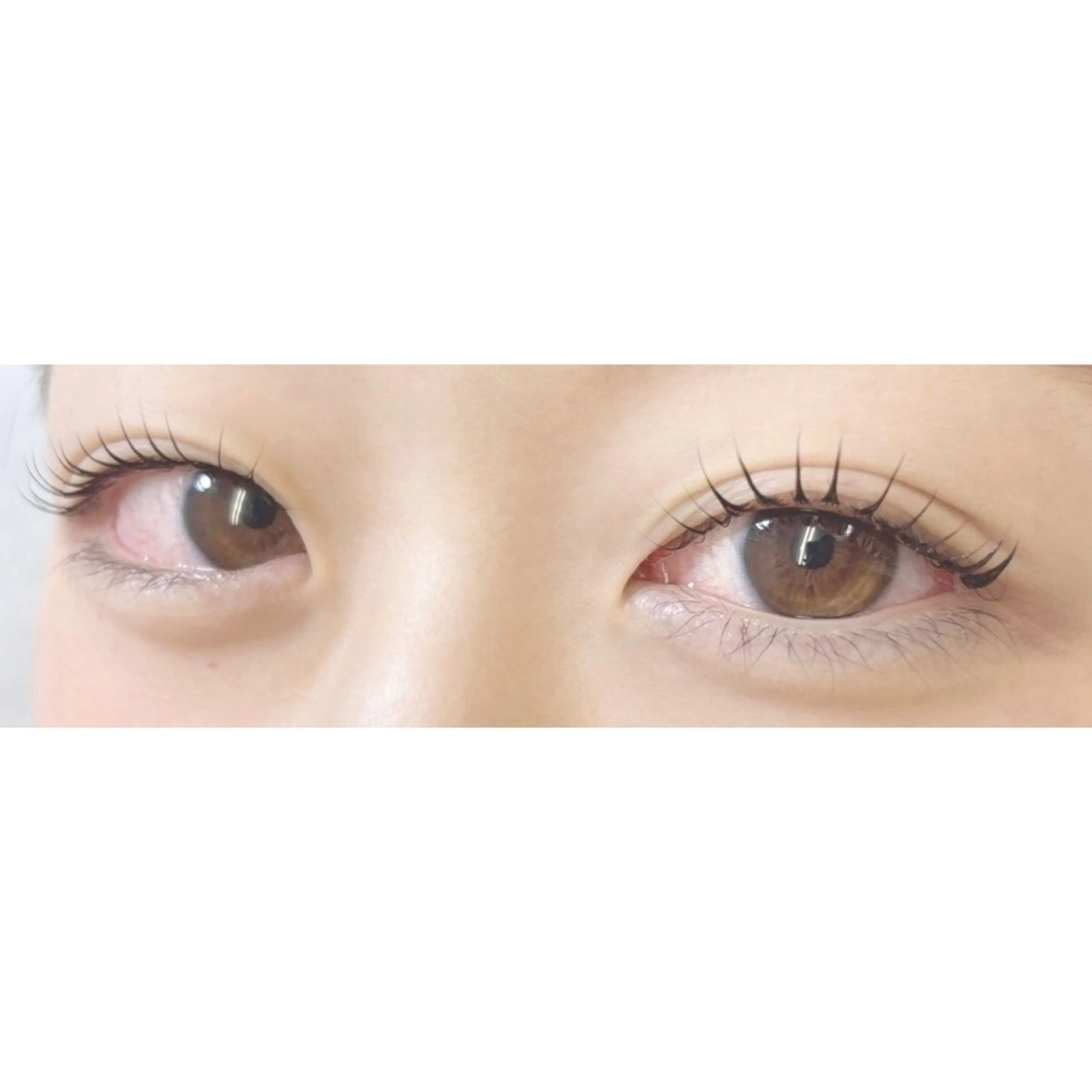 「まつ毛パーマ🌺」の写真