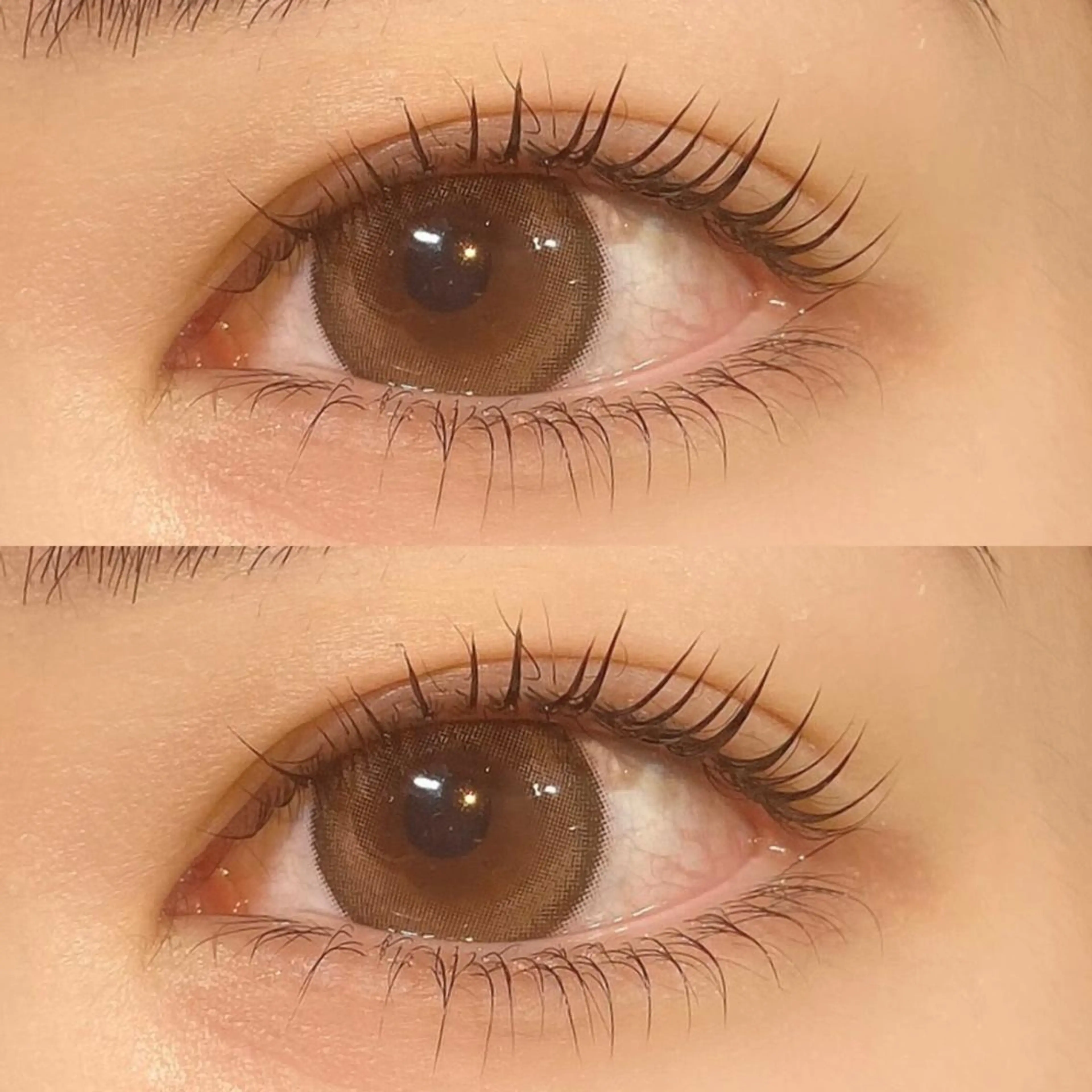 パリジェンヌ上下👀コーティング付き🫧の写真