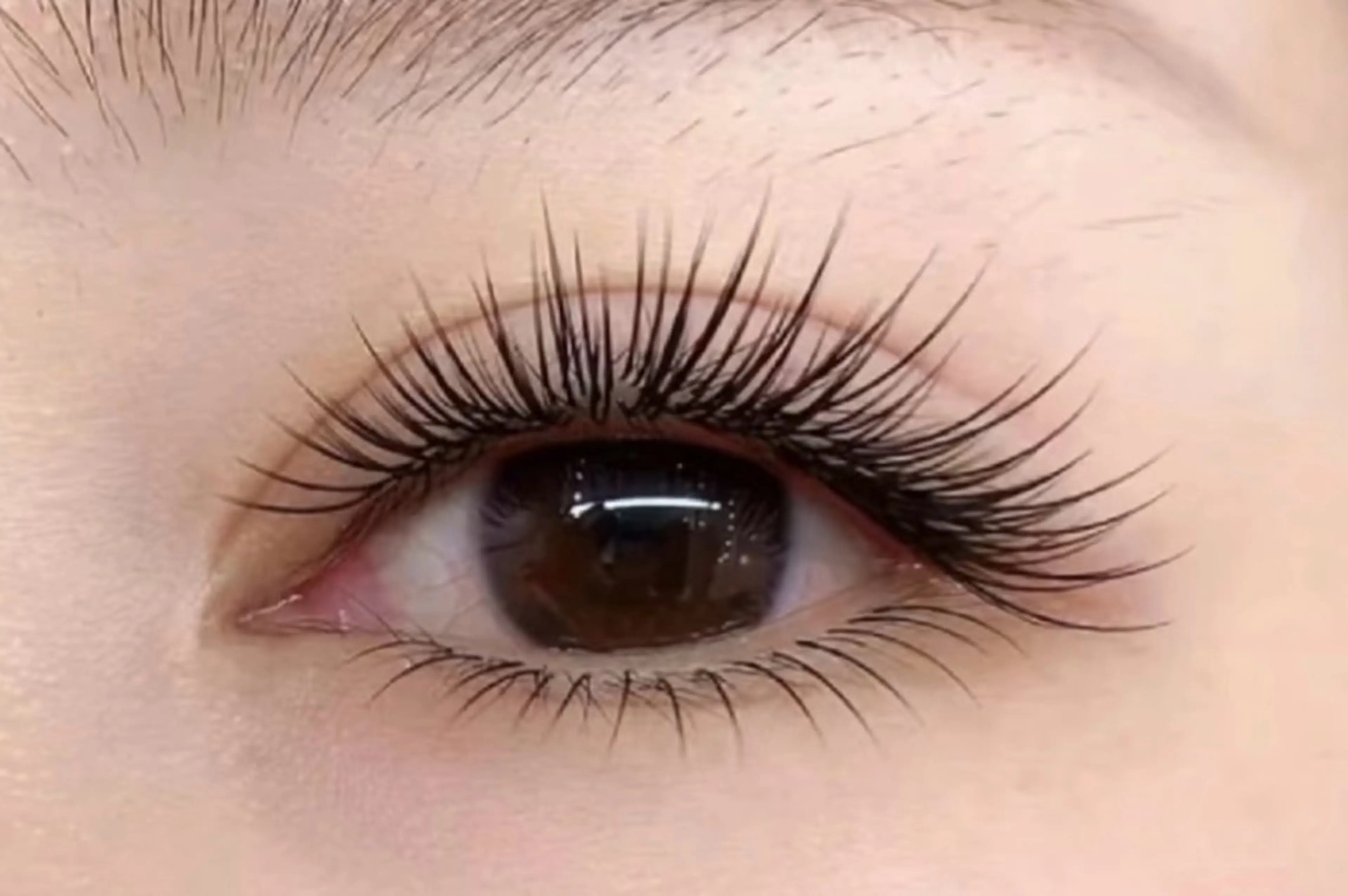 🌹特別価格🌺最軽量長持ちフラットラッシュ140本コテイング剤付き💐の写真