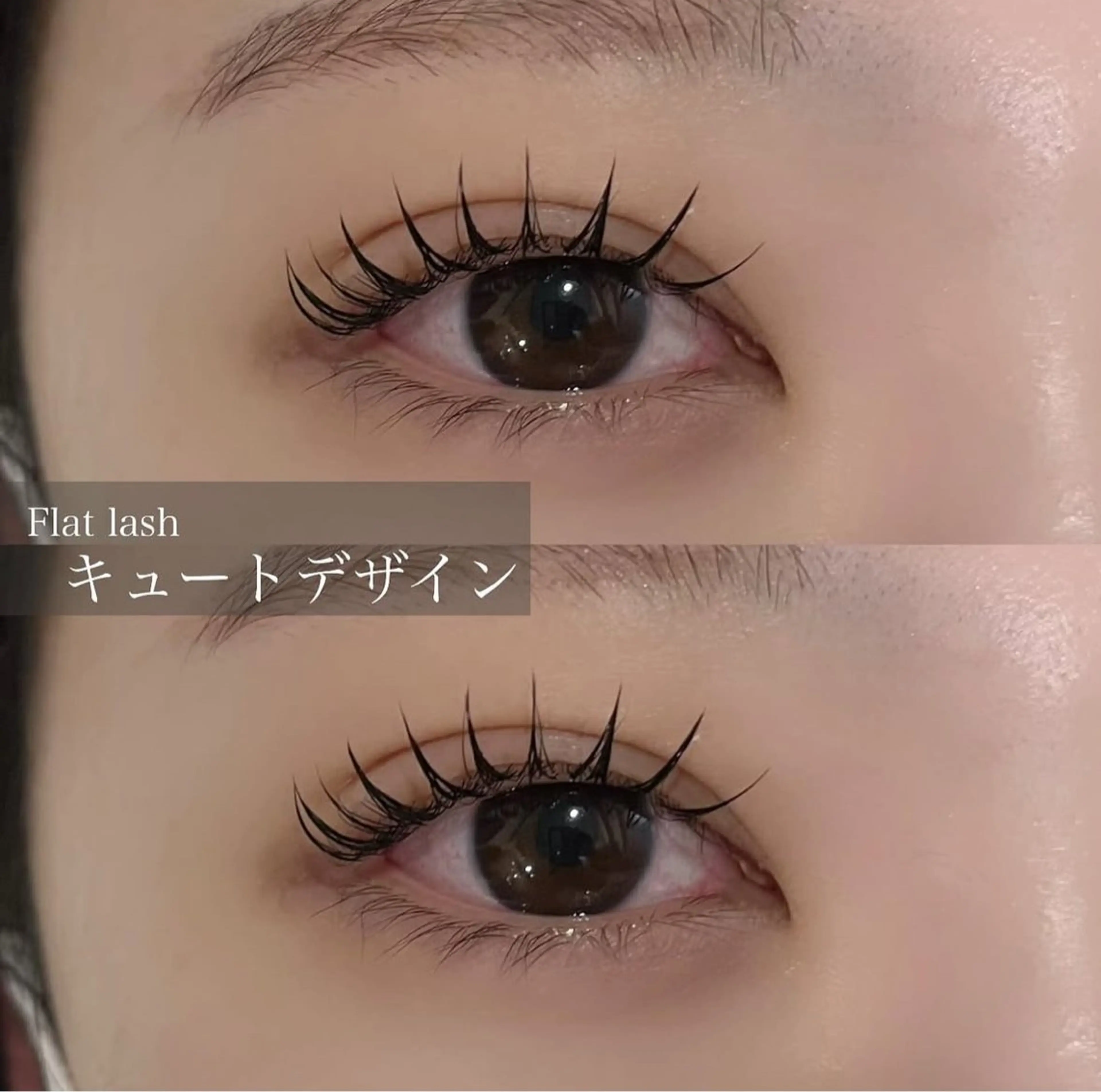 マツエク Flat lush 120本 🩶の写真