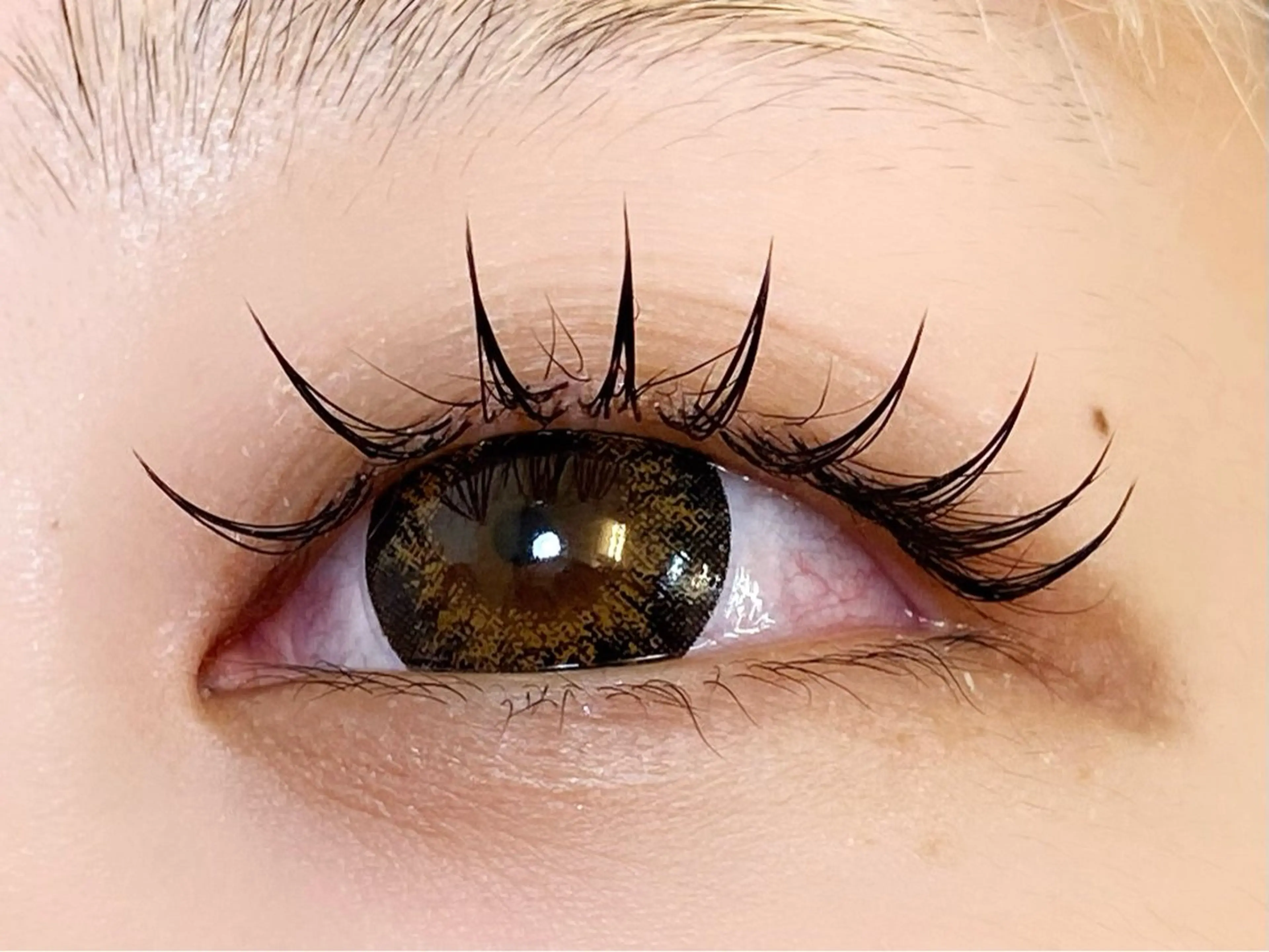 🔰【新規】🌺オフなし限定 エクステ80本 (他店付け足しOK)🌺フラットラッシュに変更は➕500円の写真