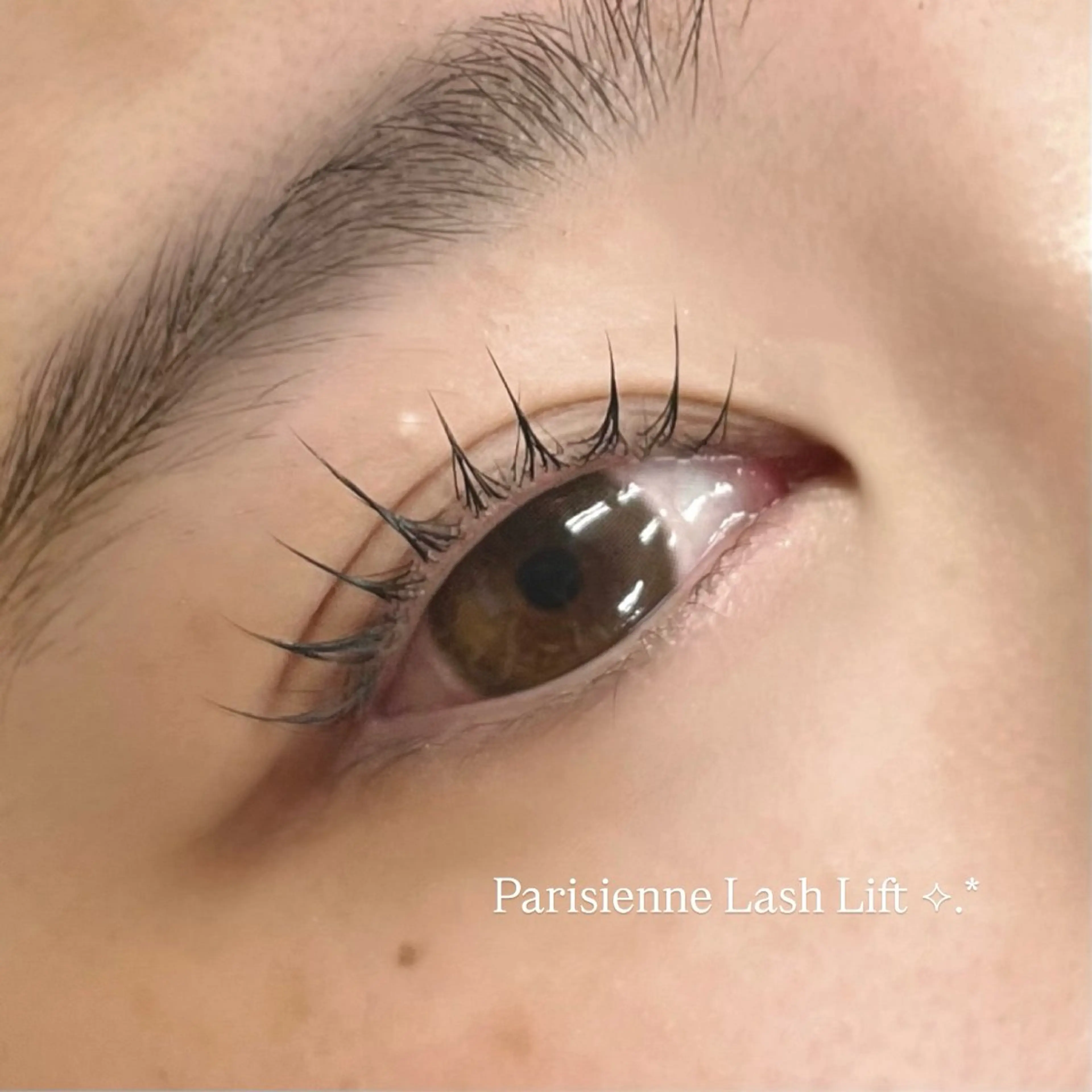 マツエク・マツパ パリジェンヌラッシュリフト EYELA🪄︎︎ 𝙨𝙚𝙞𝙧𝙖のマツエク・マツパデザイン