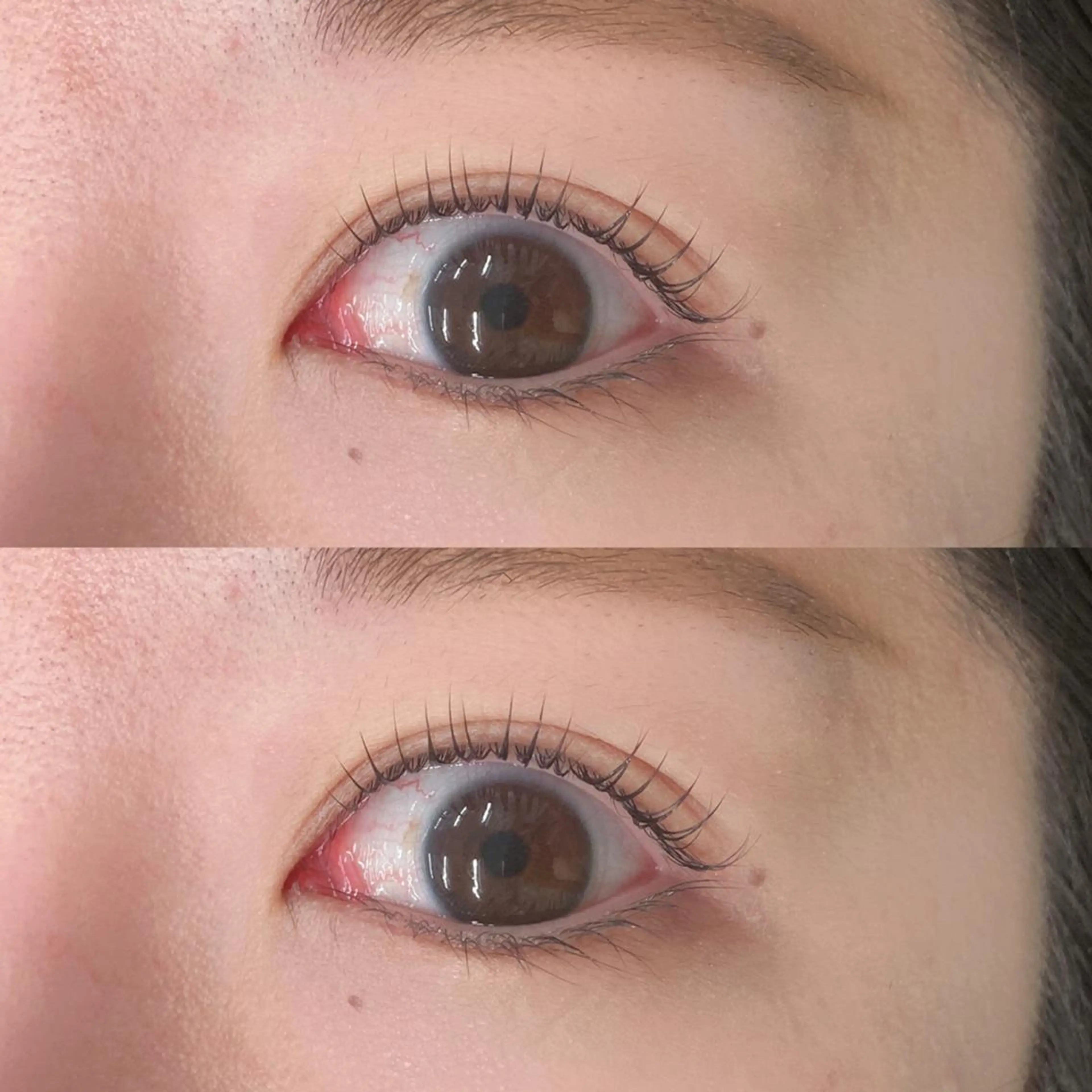 マツエク・マツパ マツパ ロコラッシュ🤍 原宿のマツエク・マツパデザイン