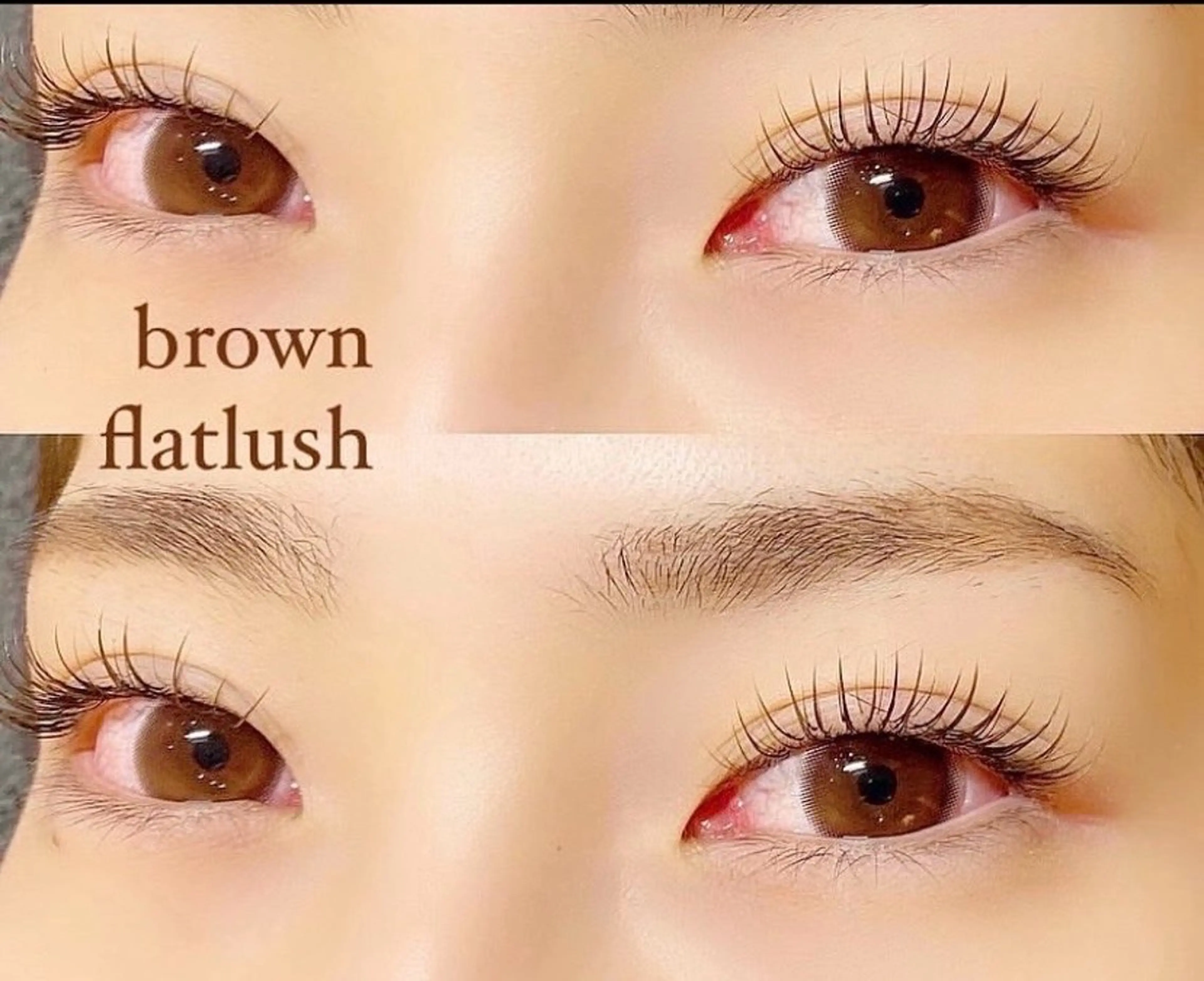 10時​〜​15時迄限定❣️写真モデルにつき特別価格⭐️オフ込みフラットラッシュ120本の写真