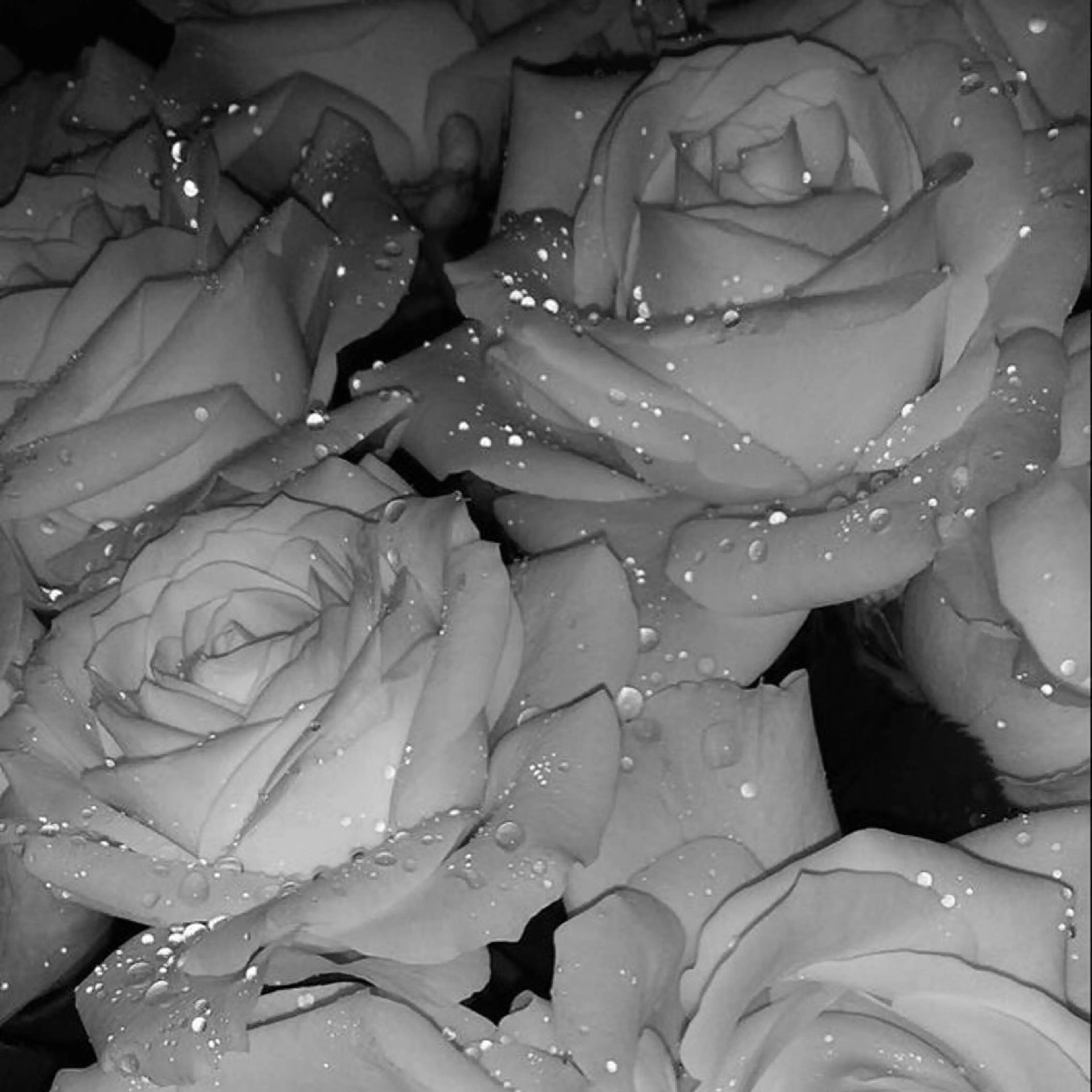 🐾 Tamaki 🐾の眉毛・アイブロウイメージ