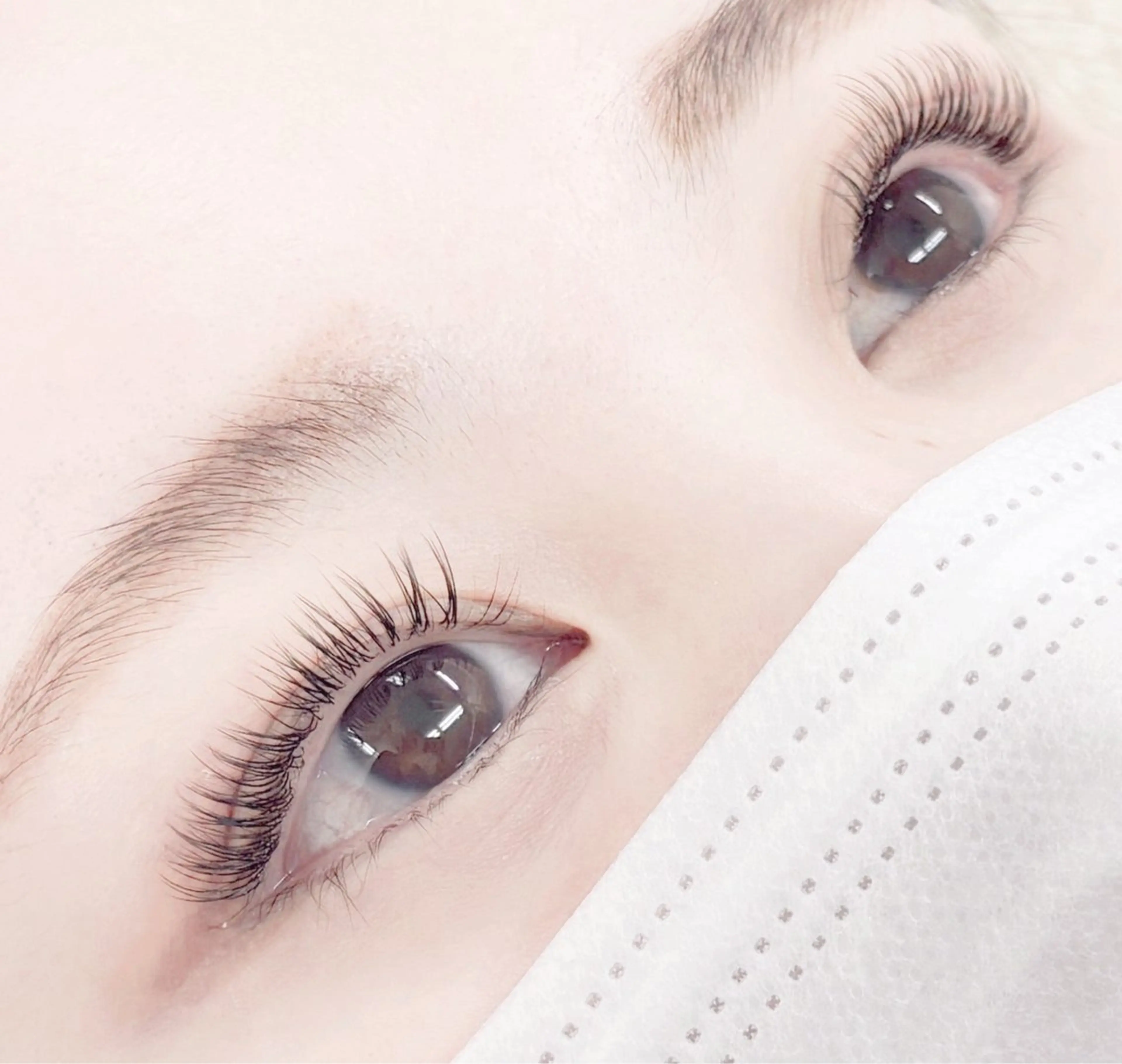 LED 下まつ毛エクステ 30本の写真