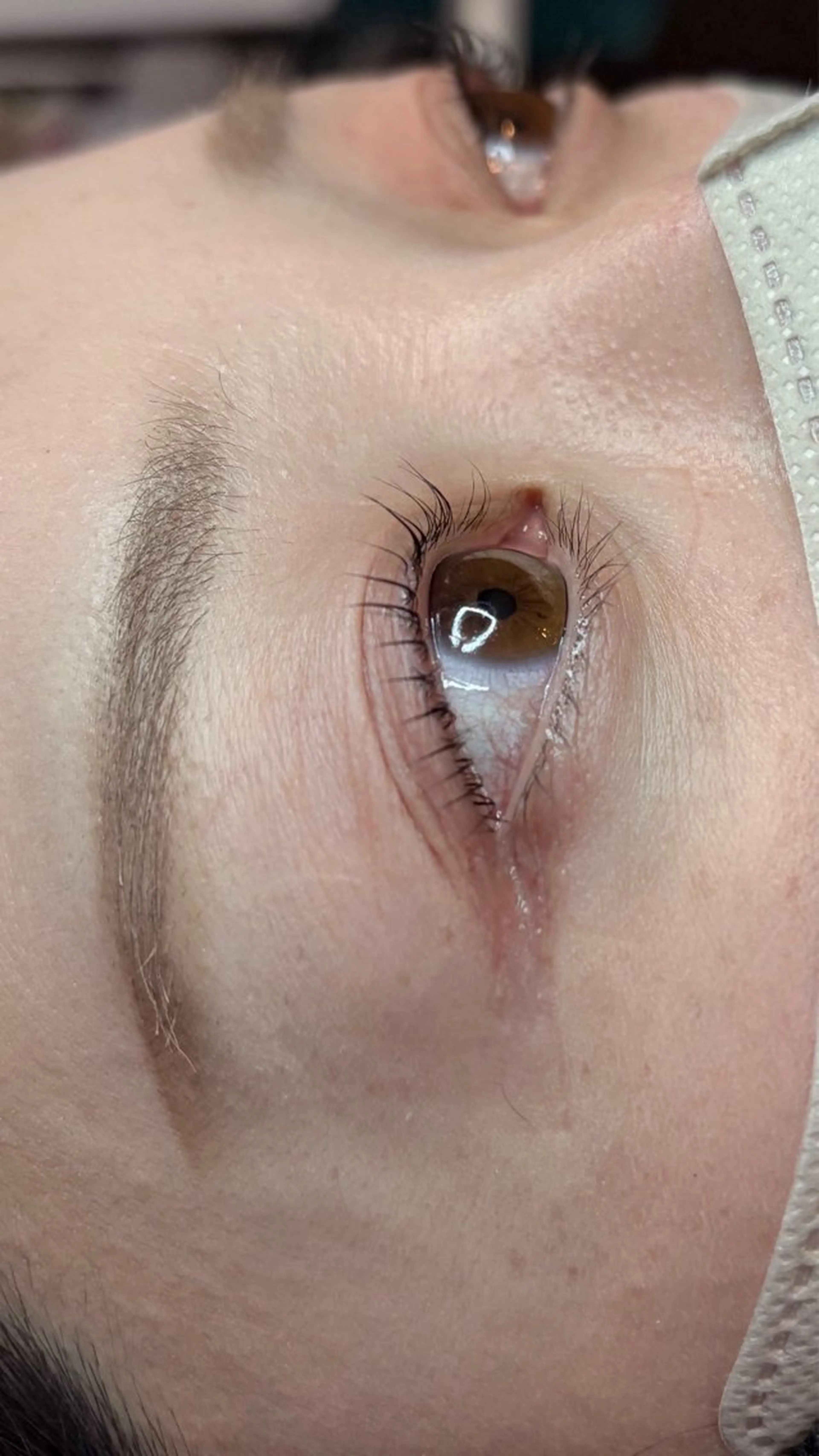 🉐アイシャンプー＋トリートメント付きまつげパーマの写真