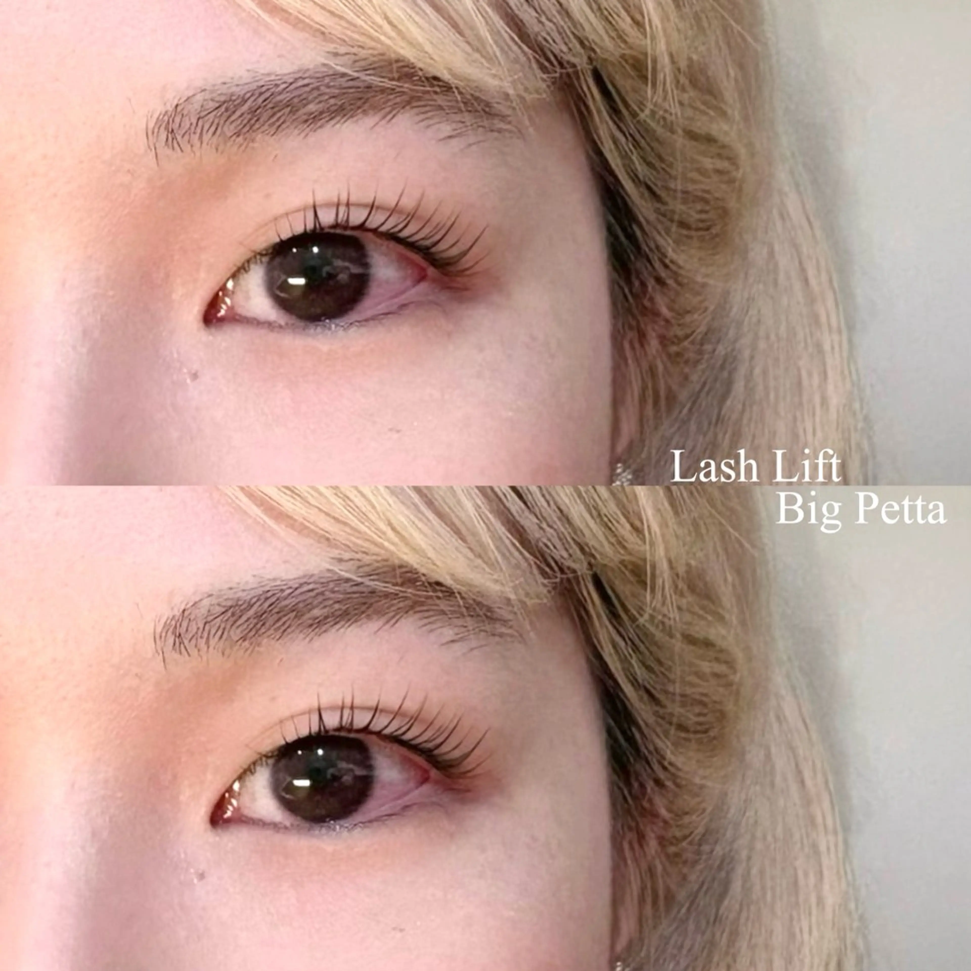 マツエク・マツパ まつげパーマ 一重×まつ毛パーマ マツパ ANEW 目黒 ハルカ🦢🫧のマツエク・マツパデザイン