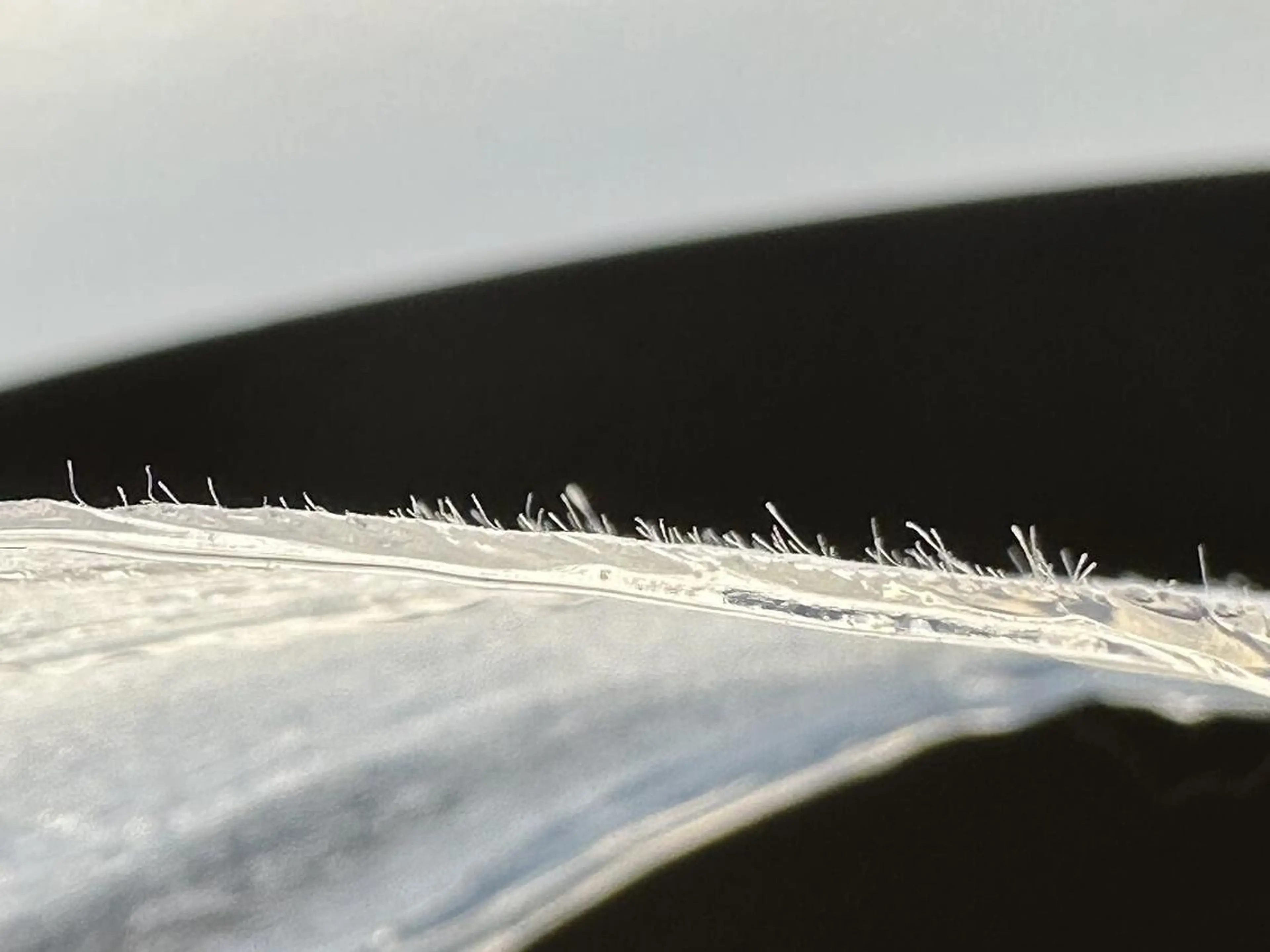 国本 寿恵の眉毛・アイブロウイメージ