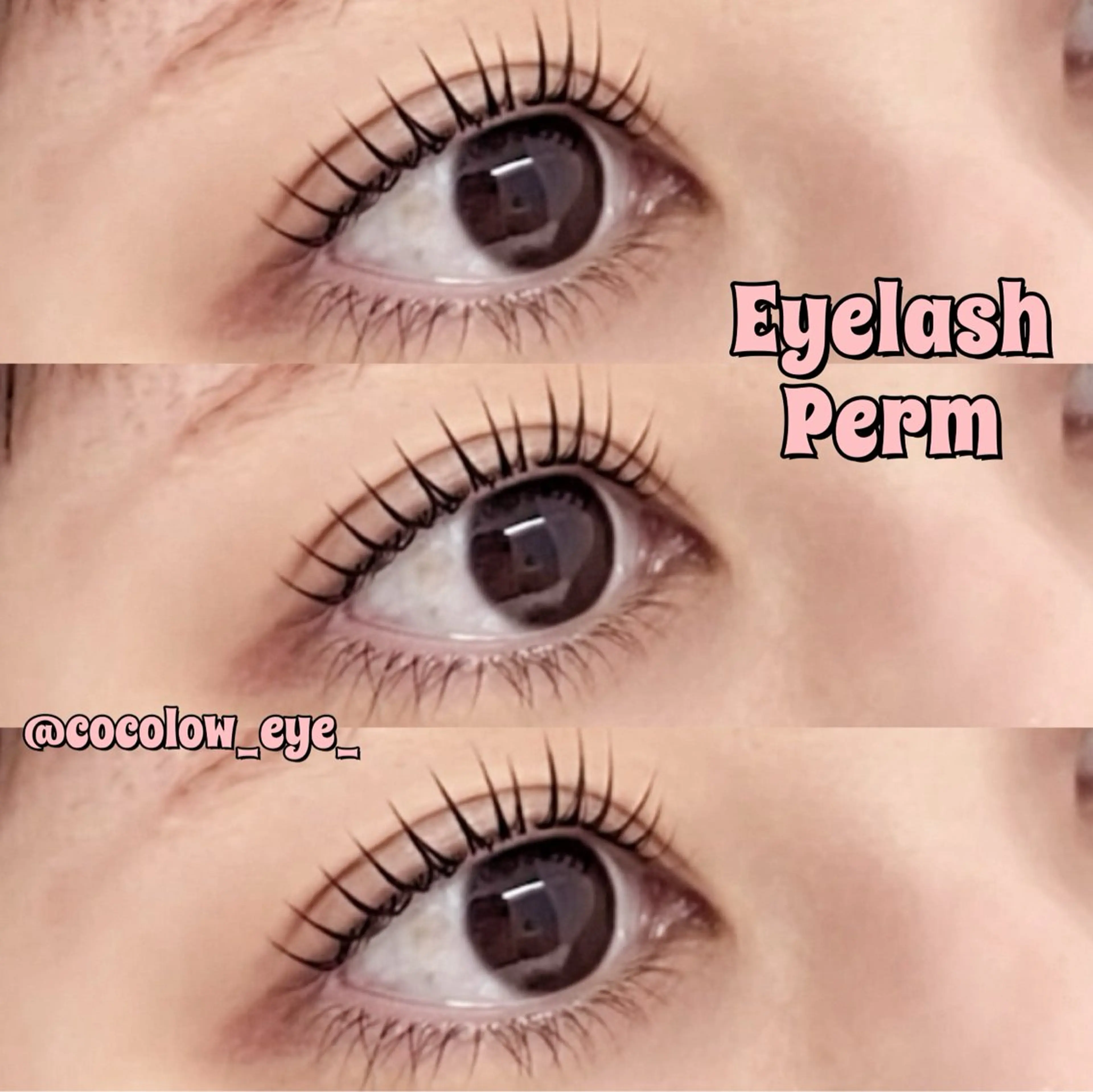 マツエク・マツパ DL•BEAUTY / COCOLOのマツエク・マツパデザイン