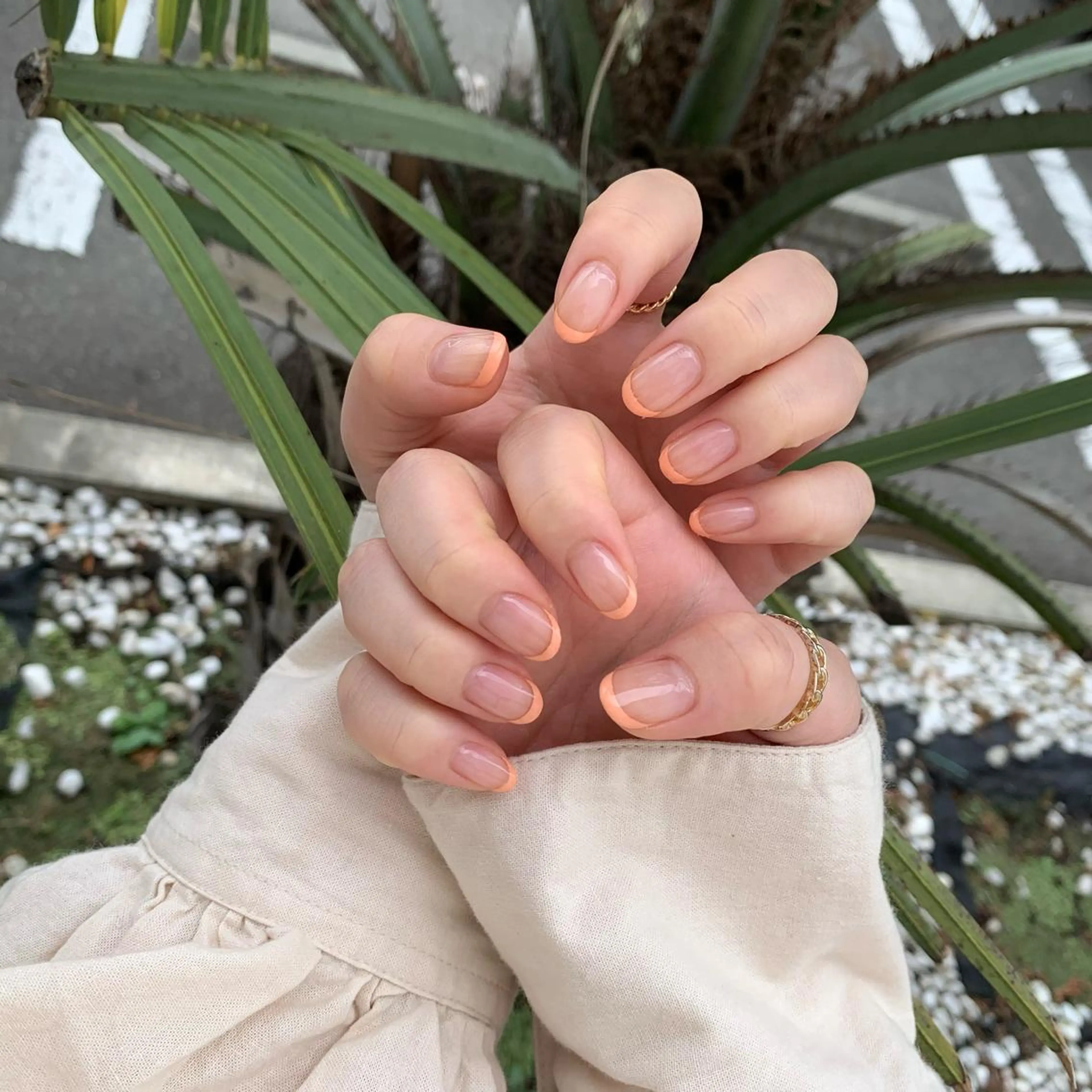 フレンチネイル💅🏻の写真