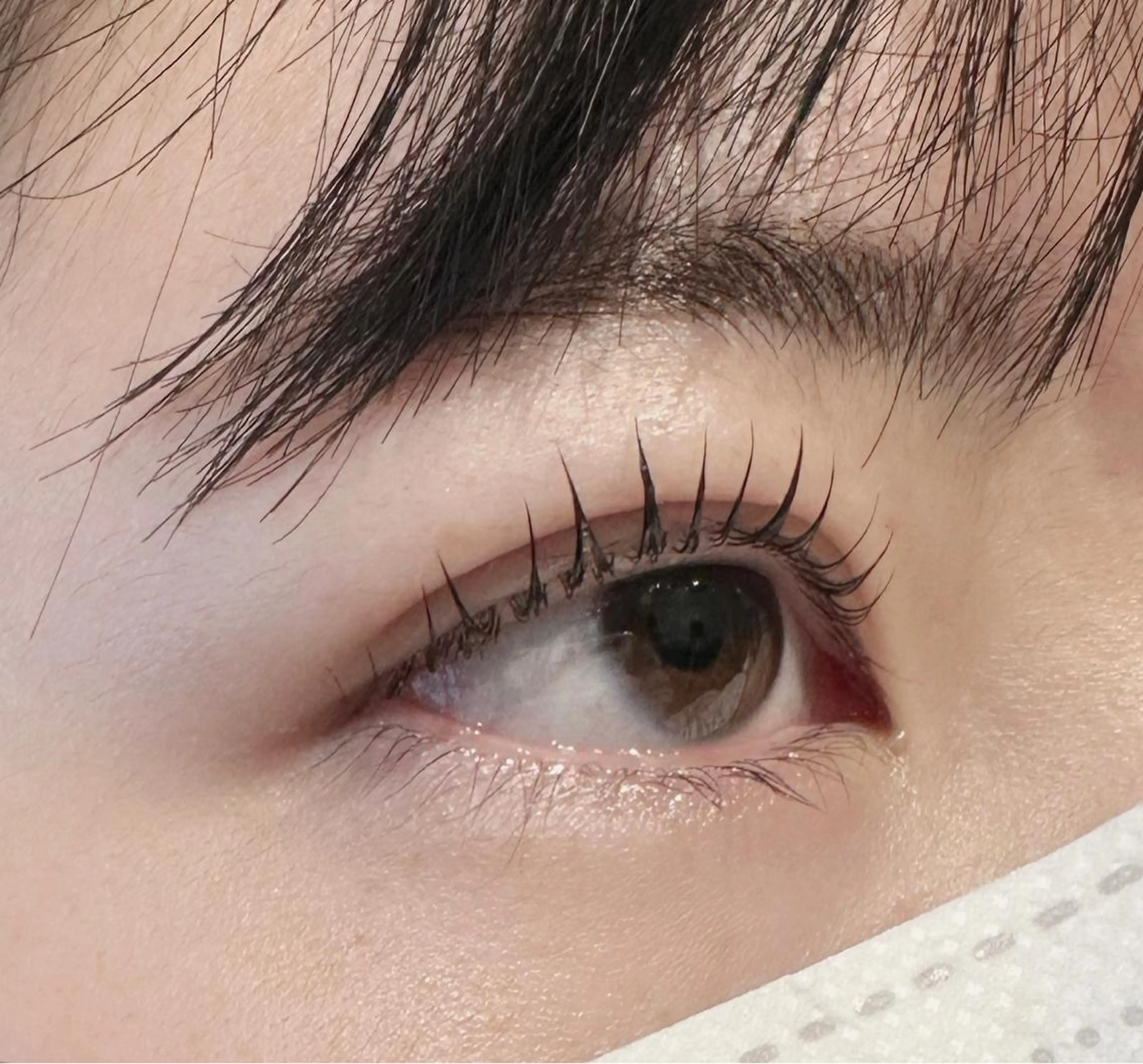 マツエク・マツパ dearbeauty plusのマツエク・マツパデザイン