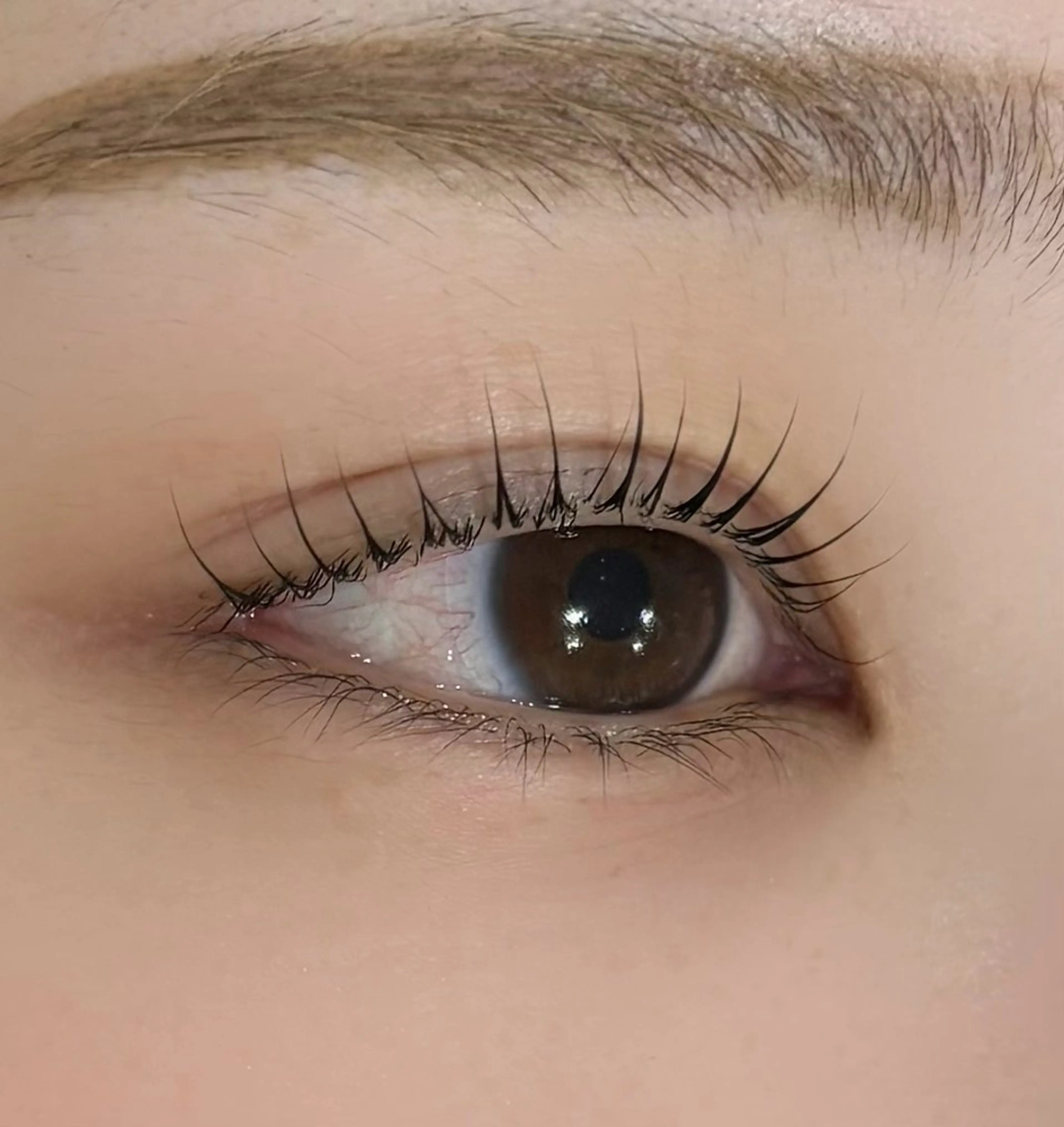 マツエク・マツパ まつげパーマ Belle所属・Belle 京橋店 吉本のマツエク・マツパデザイン