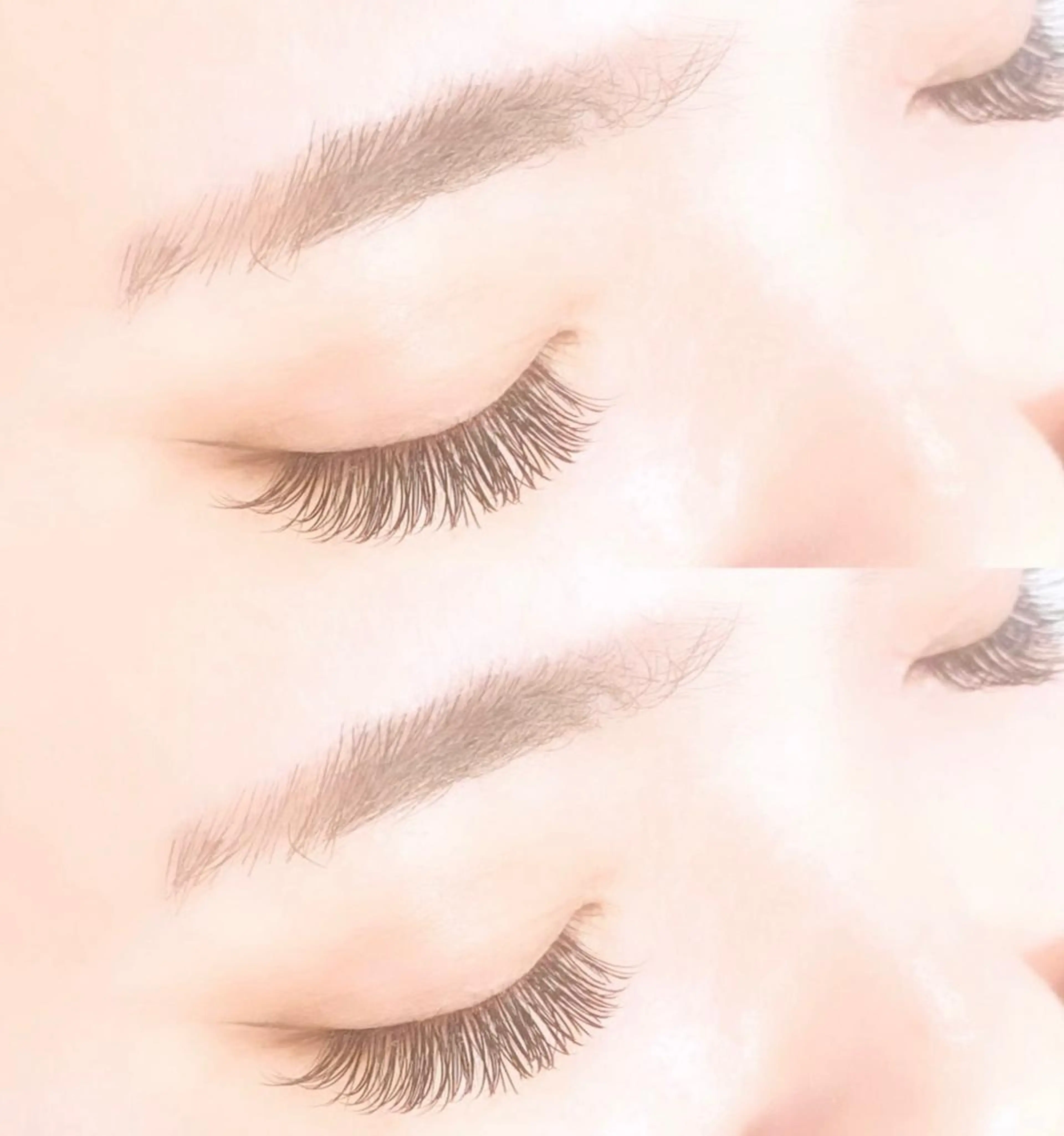 フラットラッシュ100本(コーティングあり)の写真