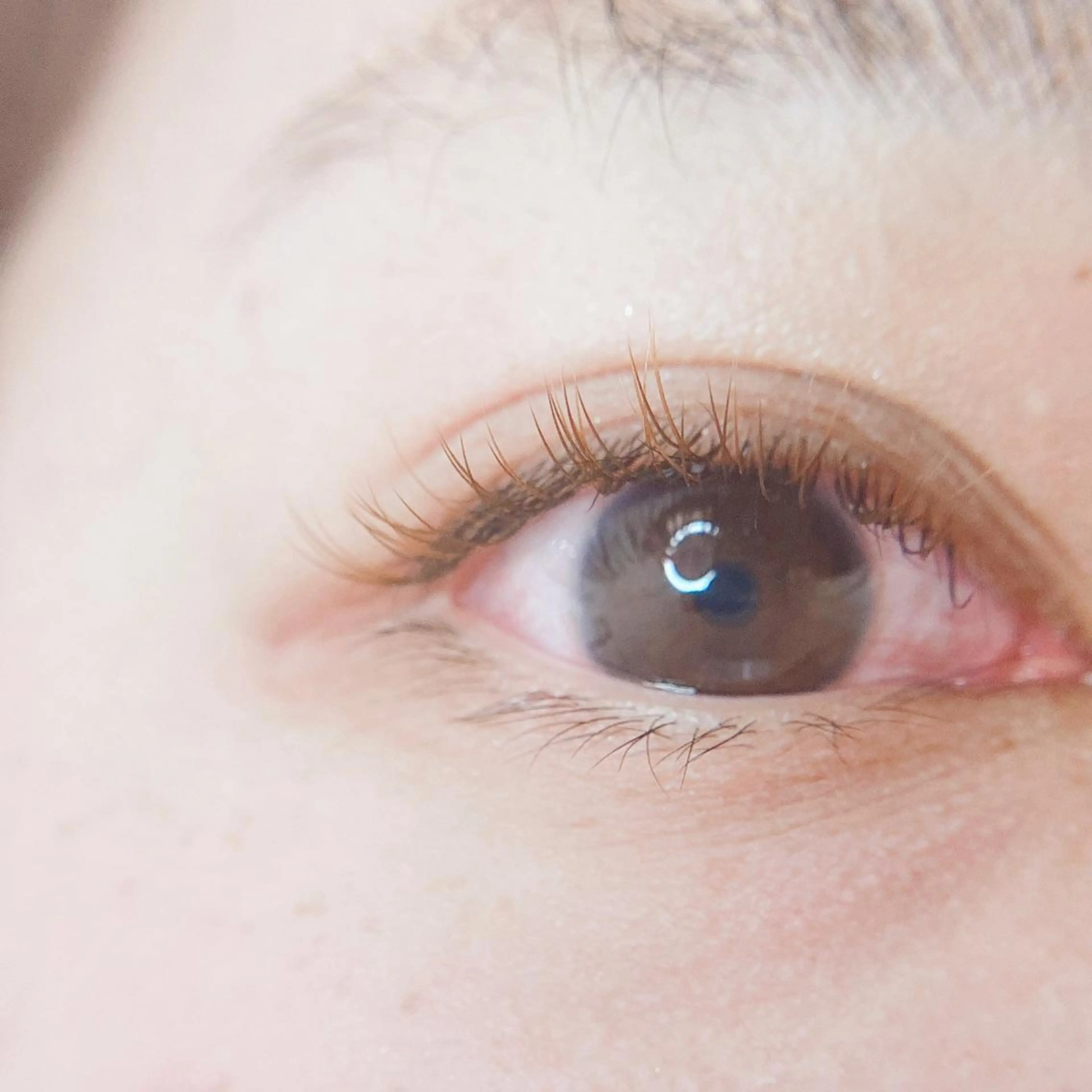 マツエク・マツパ Neo店長🌿 KOTONO🌿のマツエク・マツパデザイン