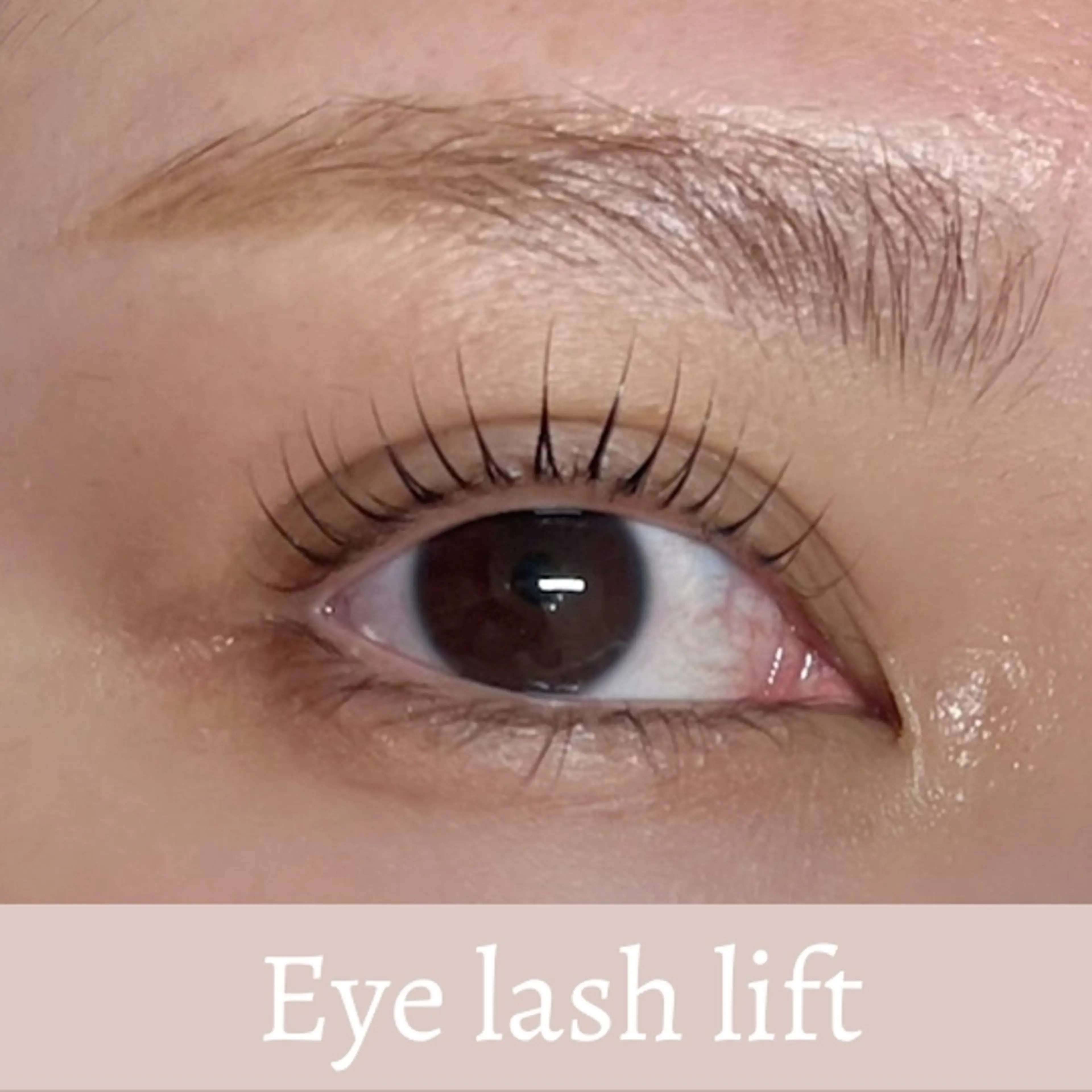 マツエク・マツパ MONDO AYUの眉毛・アイブロウイメージ