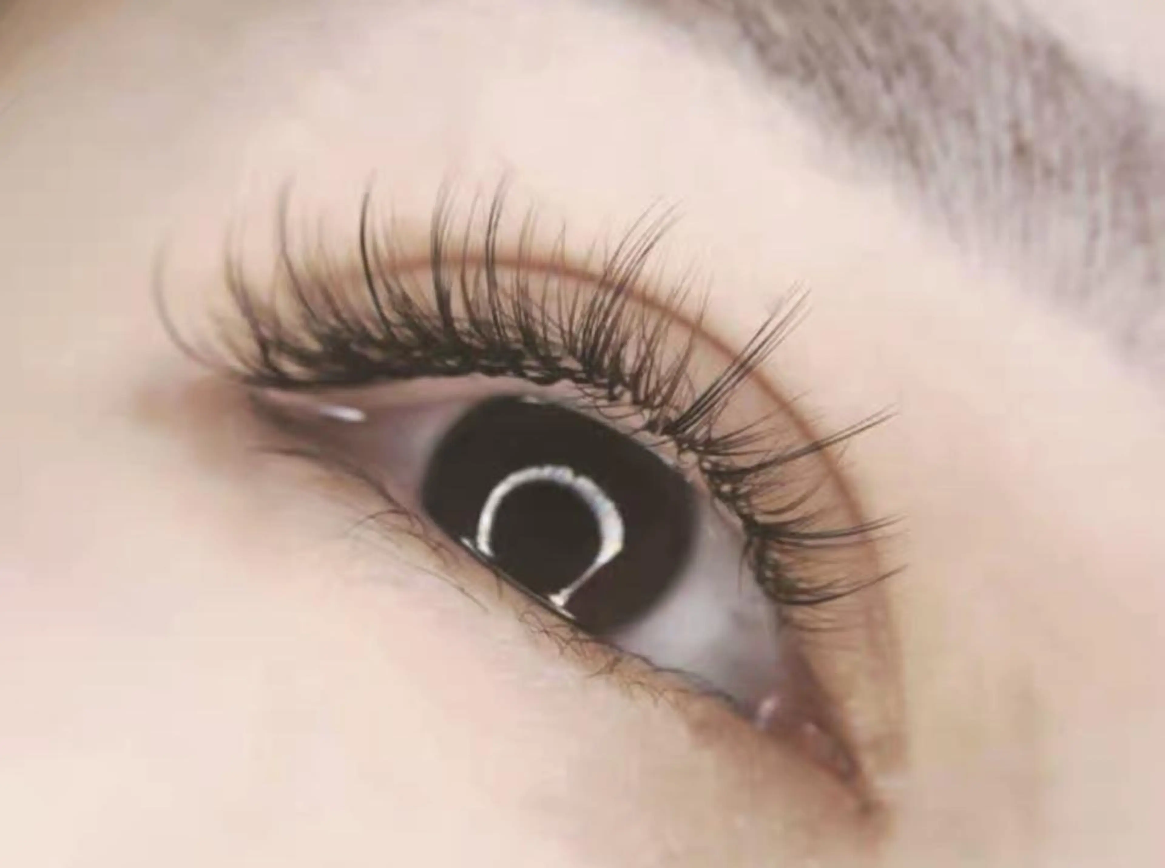 マツエク・マツパ マツエク Cute B e au t yのマツエク・マツパデザイン