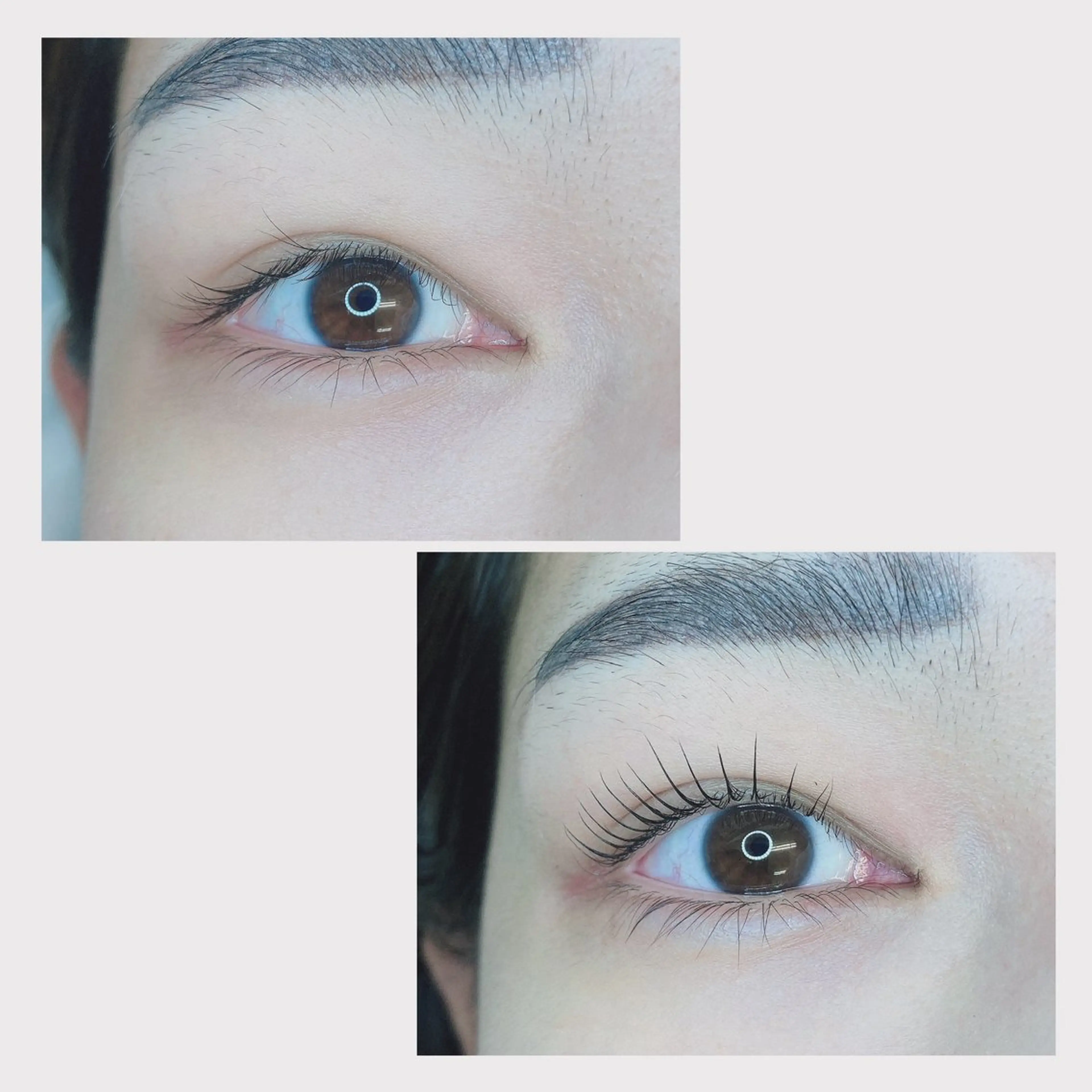 マツエク・マツパ TIARA池袋西口店 店長YASUKA💐のマツエク・マツパデザイン