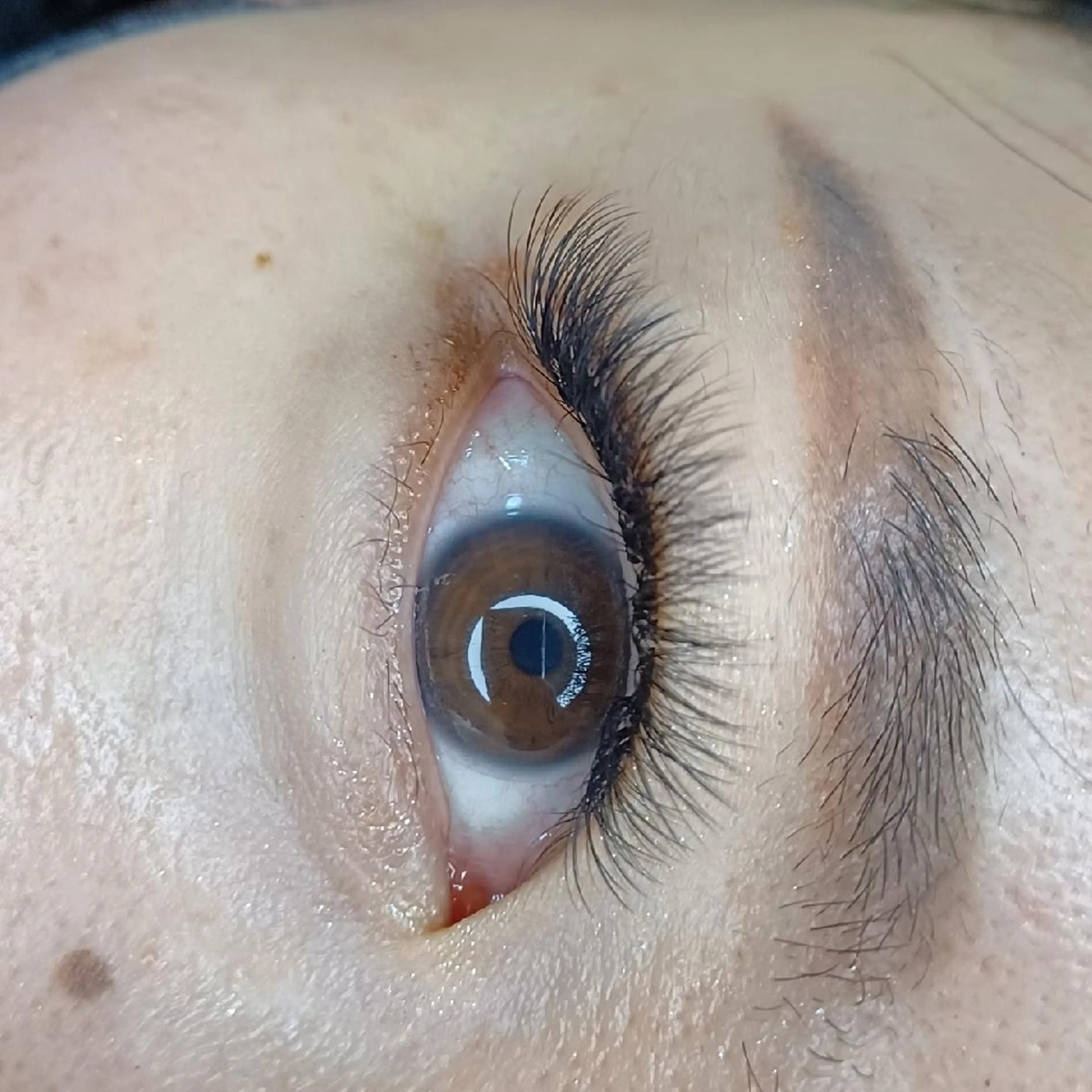 マツエク・マツパ マツエク 岡崎 良美のマツエク・マツパデザイン