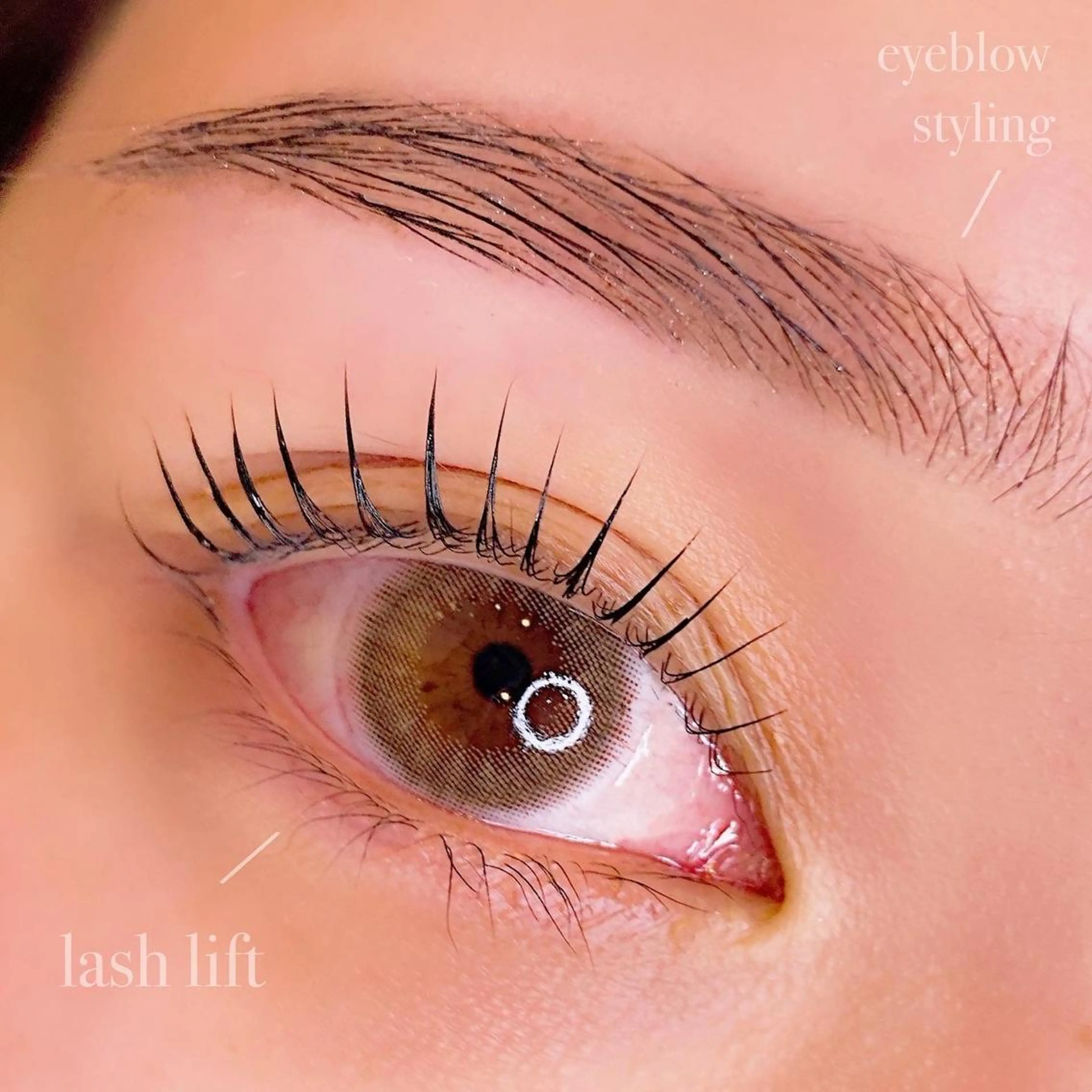 アイブロウ alchemy workzの眉毛・アイブロウイメージ