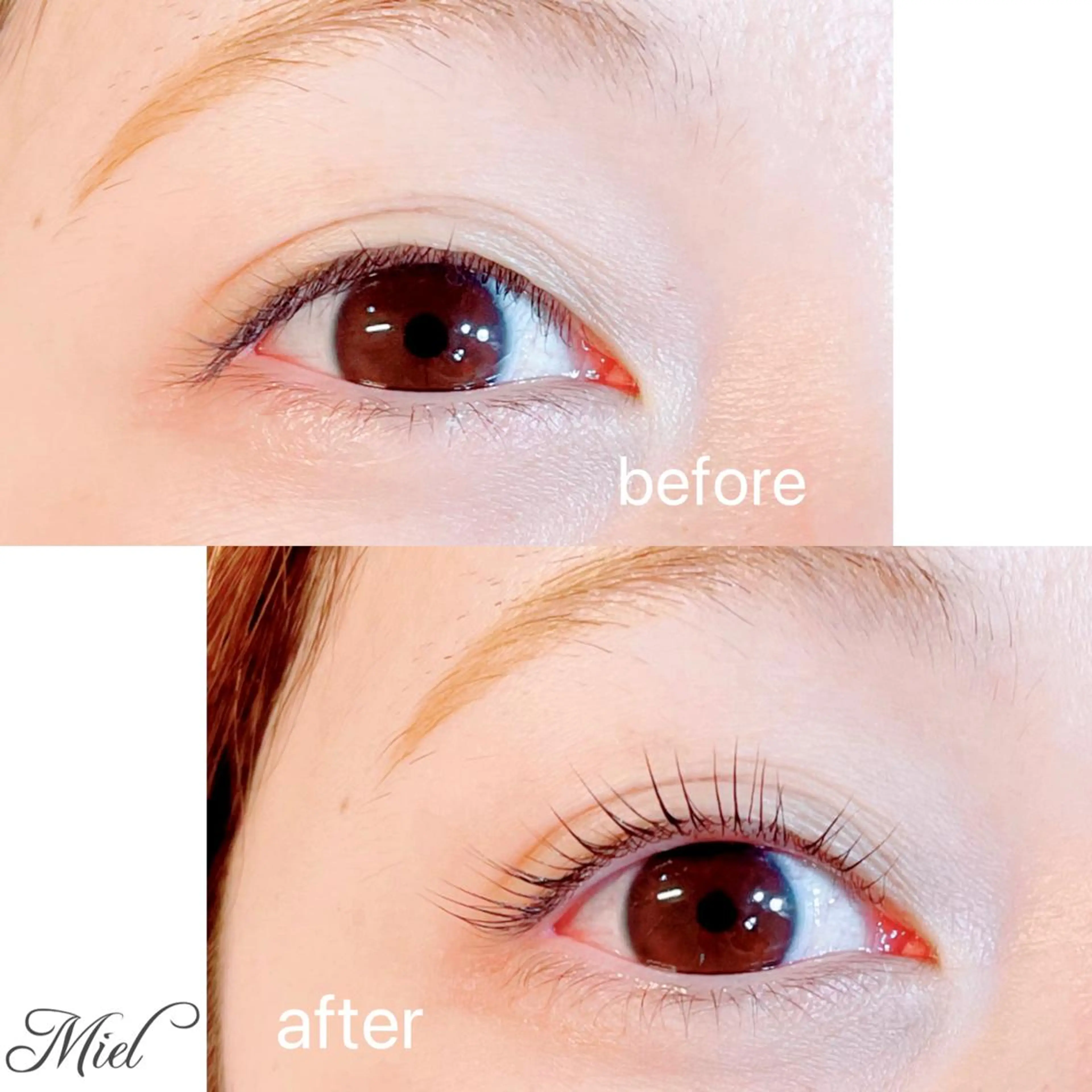 マツエク・マツパ パリジェンヌラッシュリフト まつげパーマ Mori ✨Mystical✨のマツエク・マツパデザイン