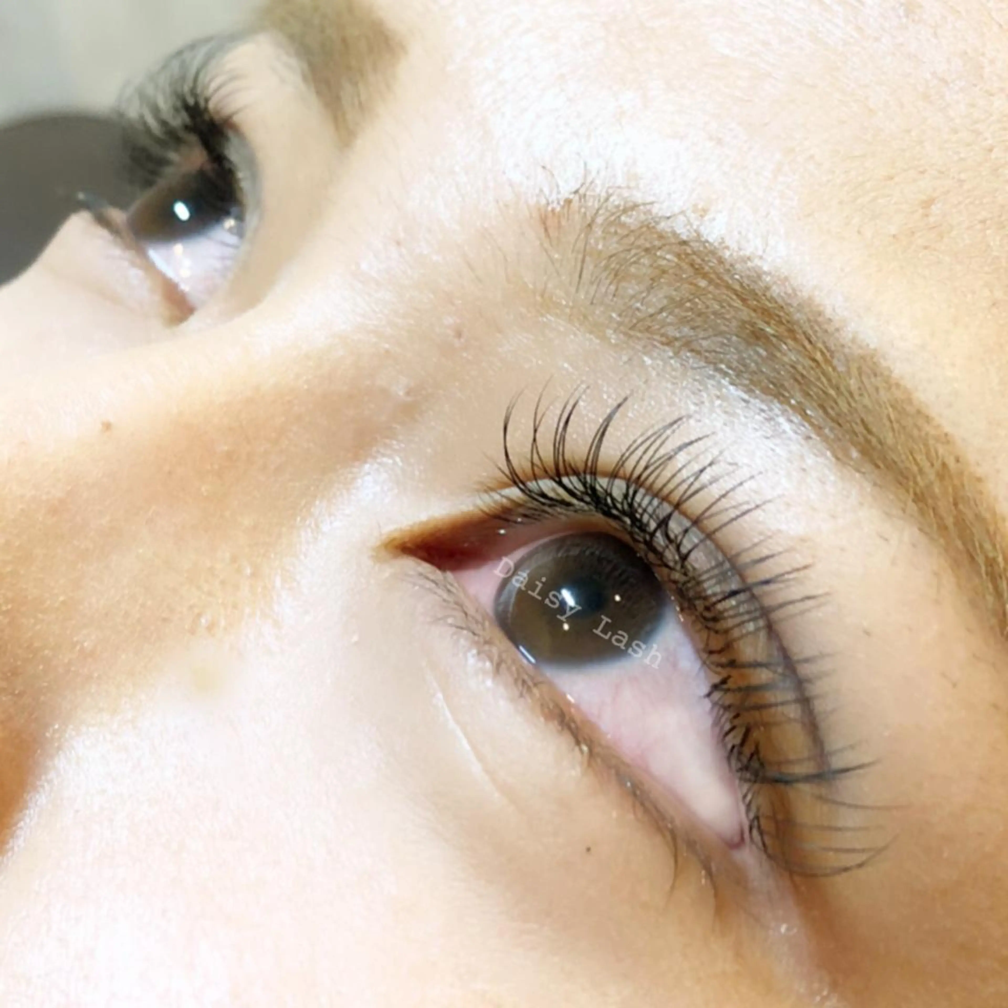 マツエク・マツパ フラットラッシュ Daisy Lash 梅田本店のマツエク・マツパデザイン