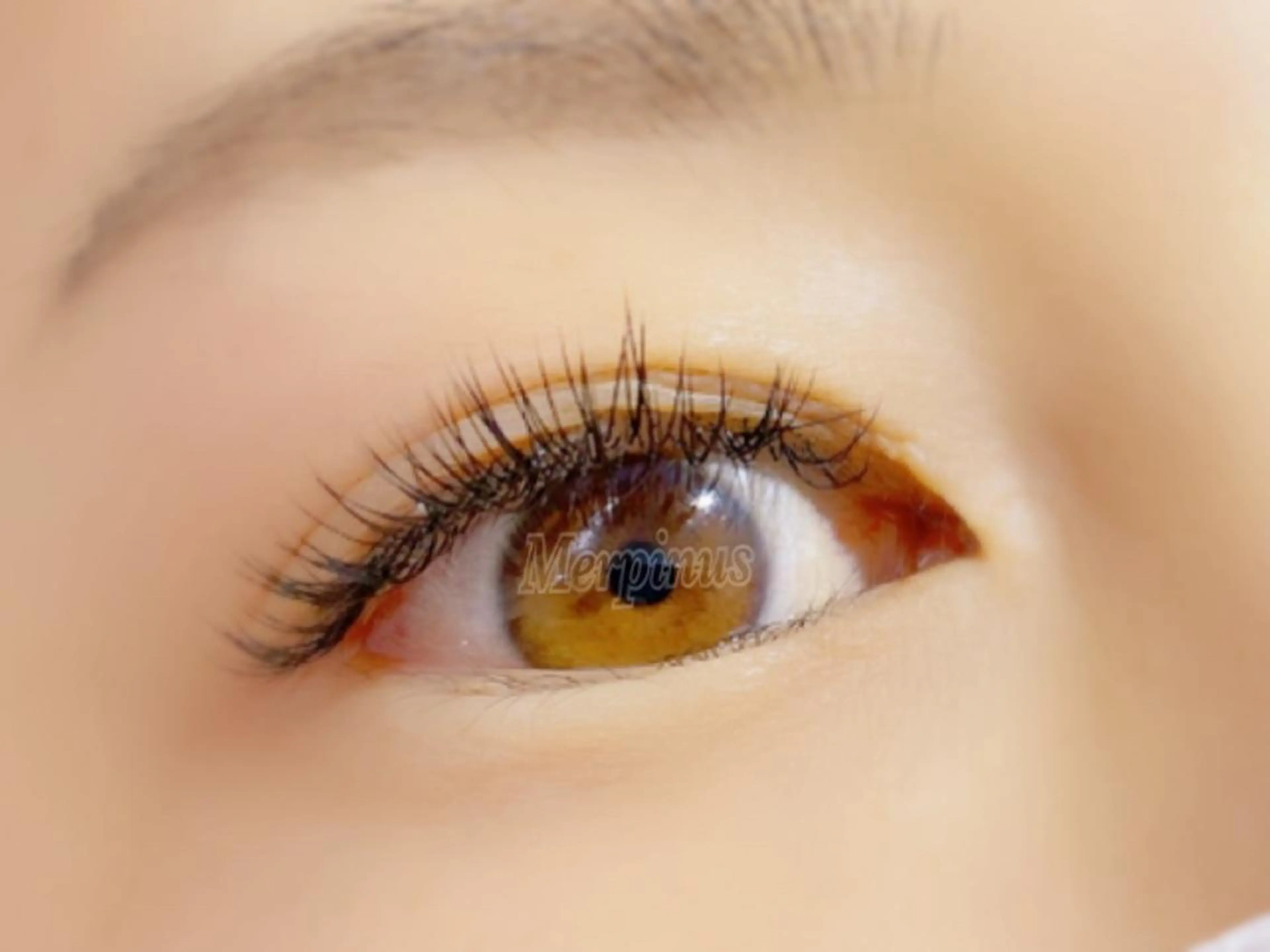 マツエク・マツパ 付け放題 フラットラッシュ マツエク Eyelash salon kukuna所属・まつ毛サロン Kukunaのマツエク・マツパデザイン