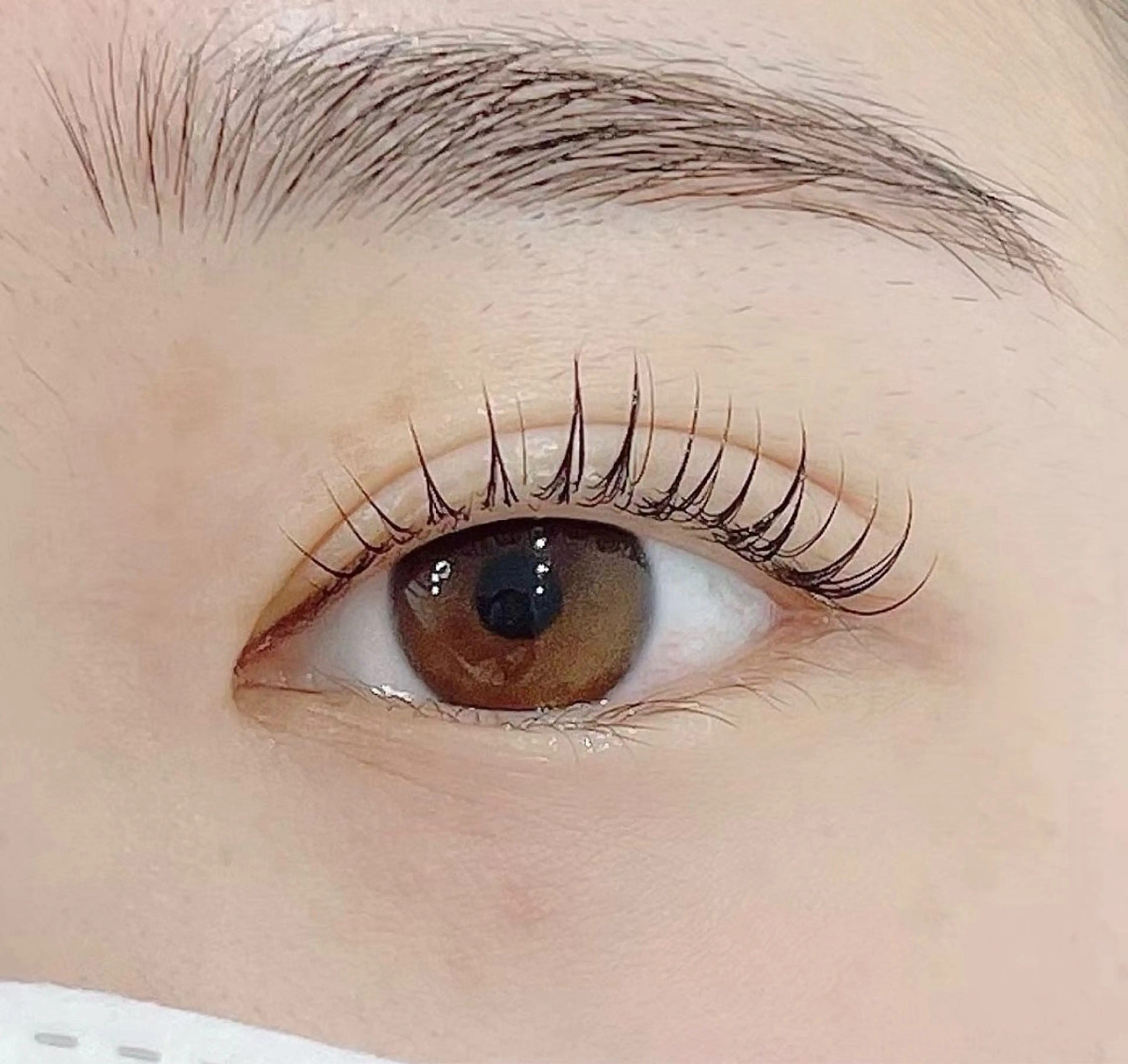 🩵ケラチンラッシュリフト🩵コーティング仕上げの写真