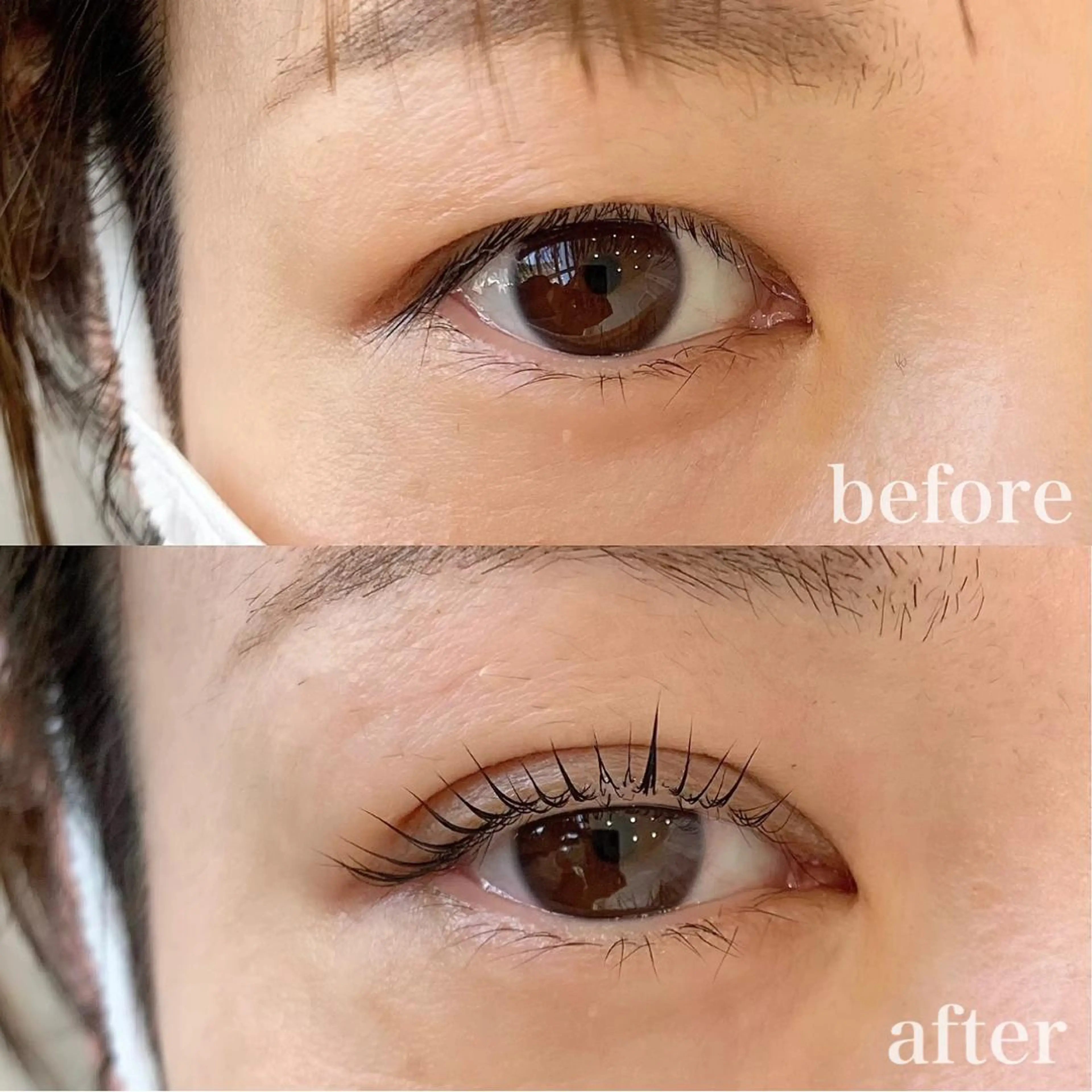 マツエク・マツパ Dカール WHITE EYE 🤍Mayukaの眉毛・アイブロウイメージ