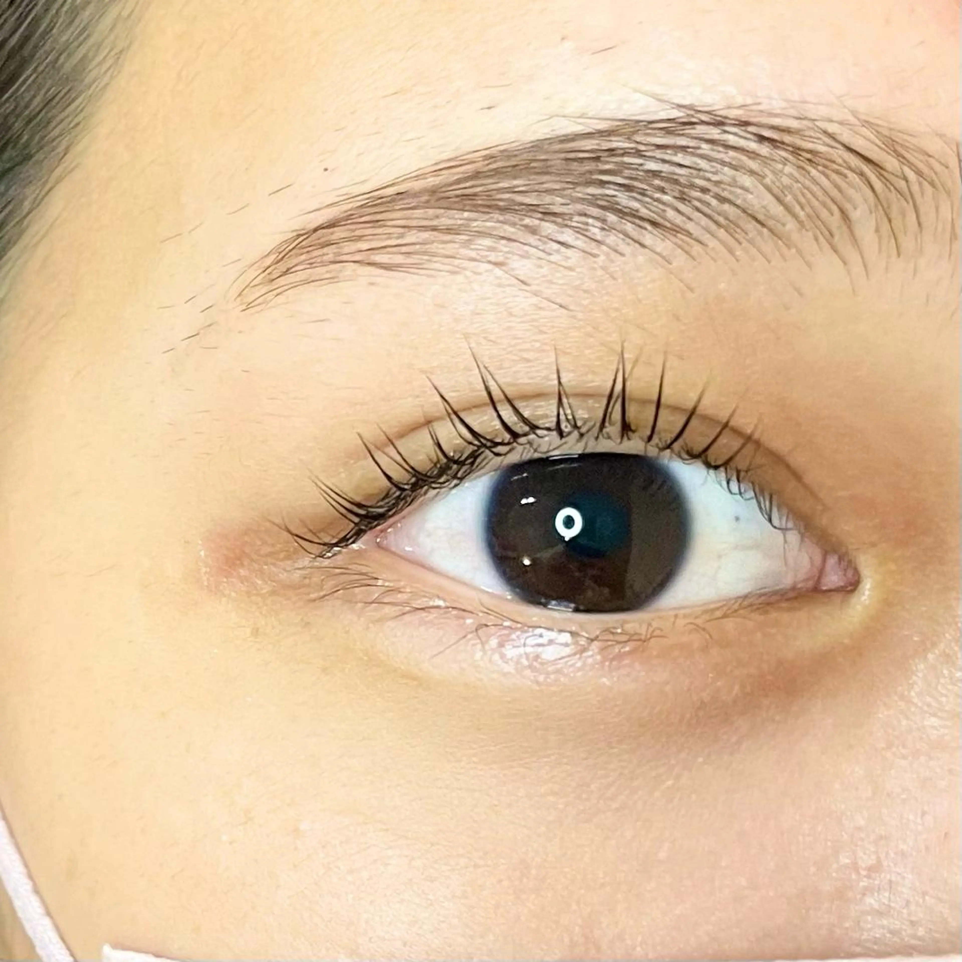 ミディアム カラー パーマ ヘアアレンジ メンズ キッズ ネイル マツエク・マツパ アイブロウ パリジェンヌラッシュリフト マツパ nail&eye Aoのマツエク・マツパデザイン