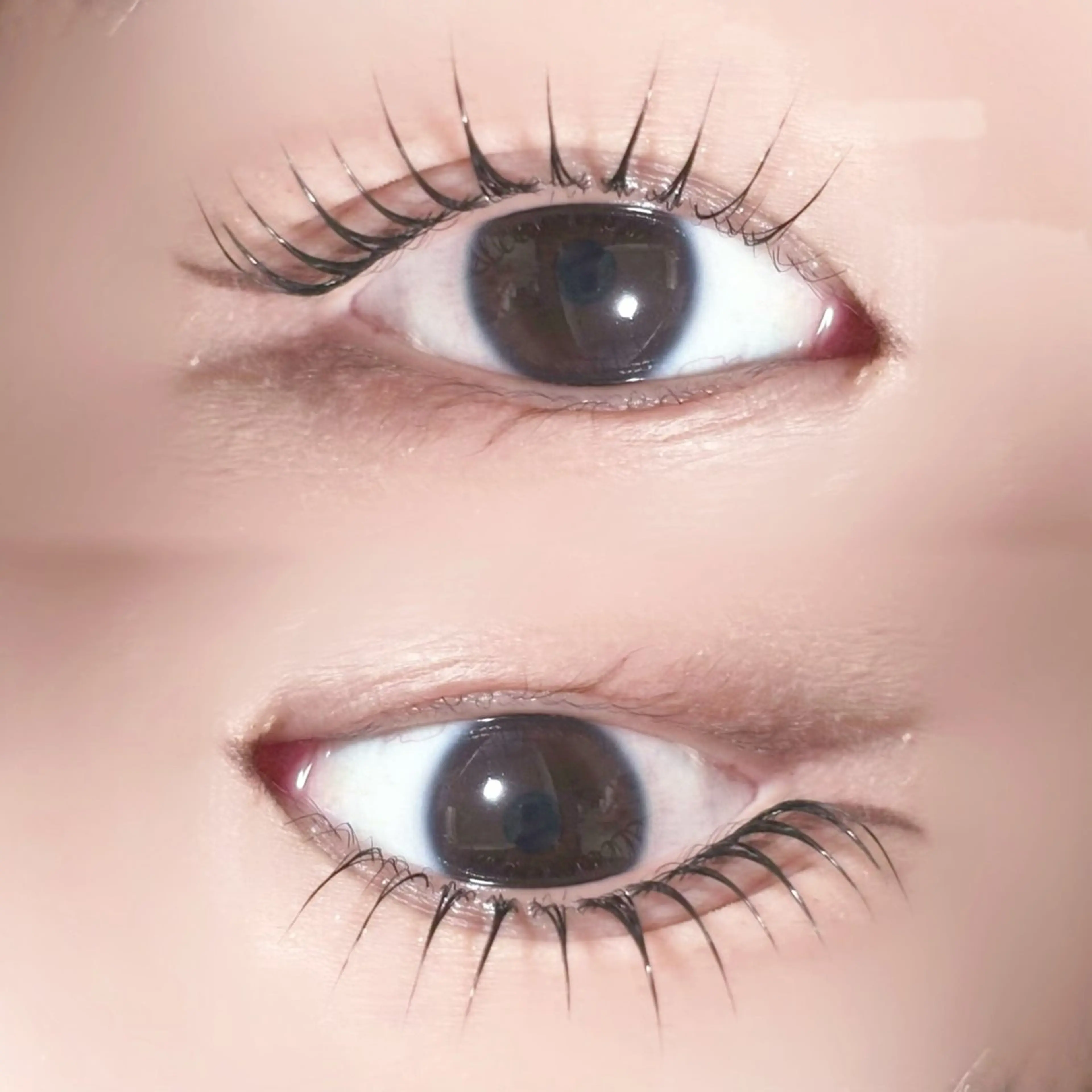 マツエク・マツパ マツパ マリーテレジア ogataのマツエク・マツパデザイン