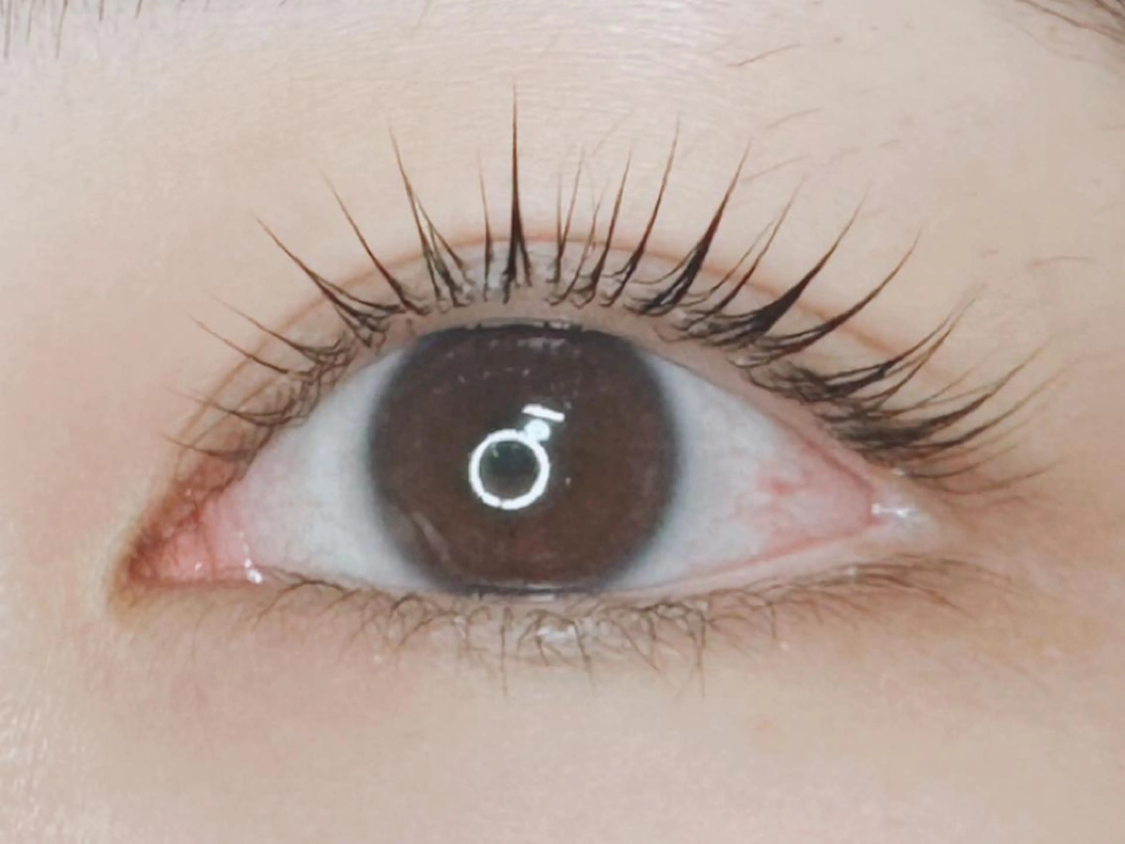 マツエク・マツパ パリジェンヌラッシュリフト 𝐉𝐎𝐋𝐈 アイリスト ❤︎のマツエク・マツパデザイン