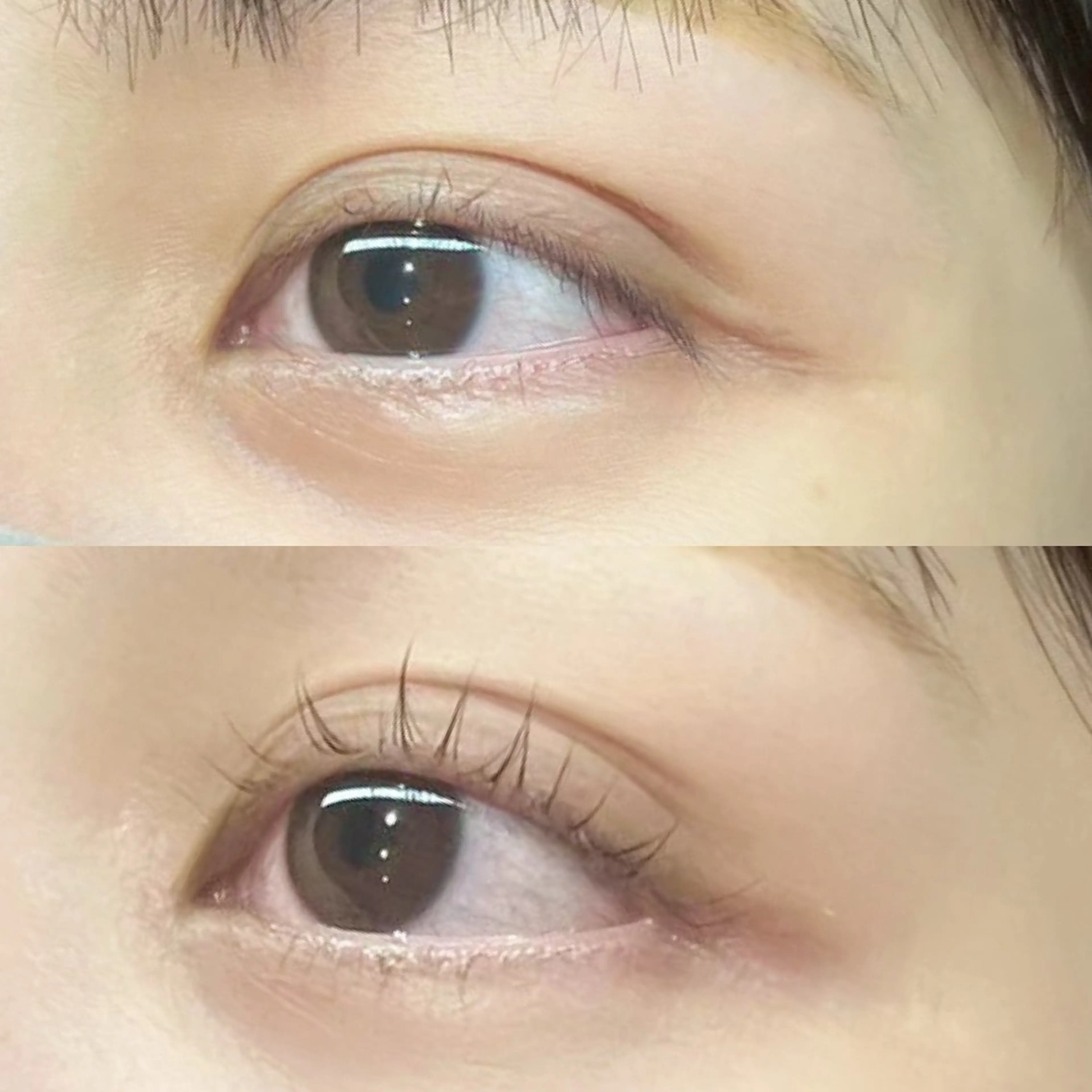 12月限定！まつげパーマ上のみの写真