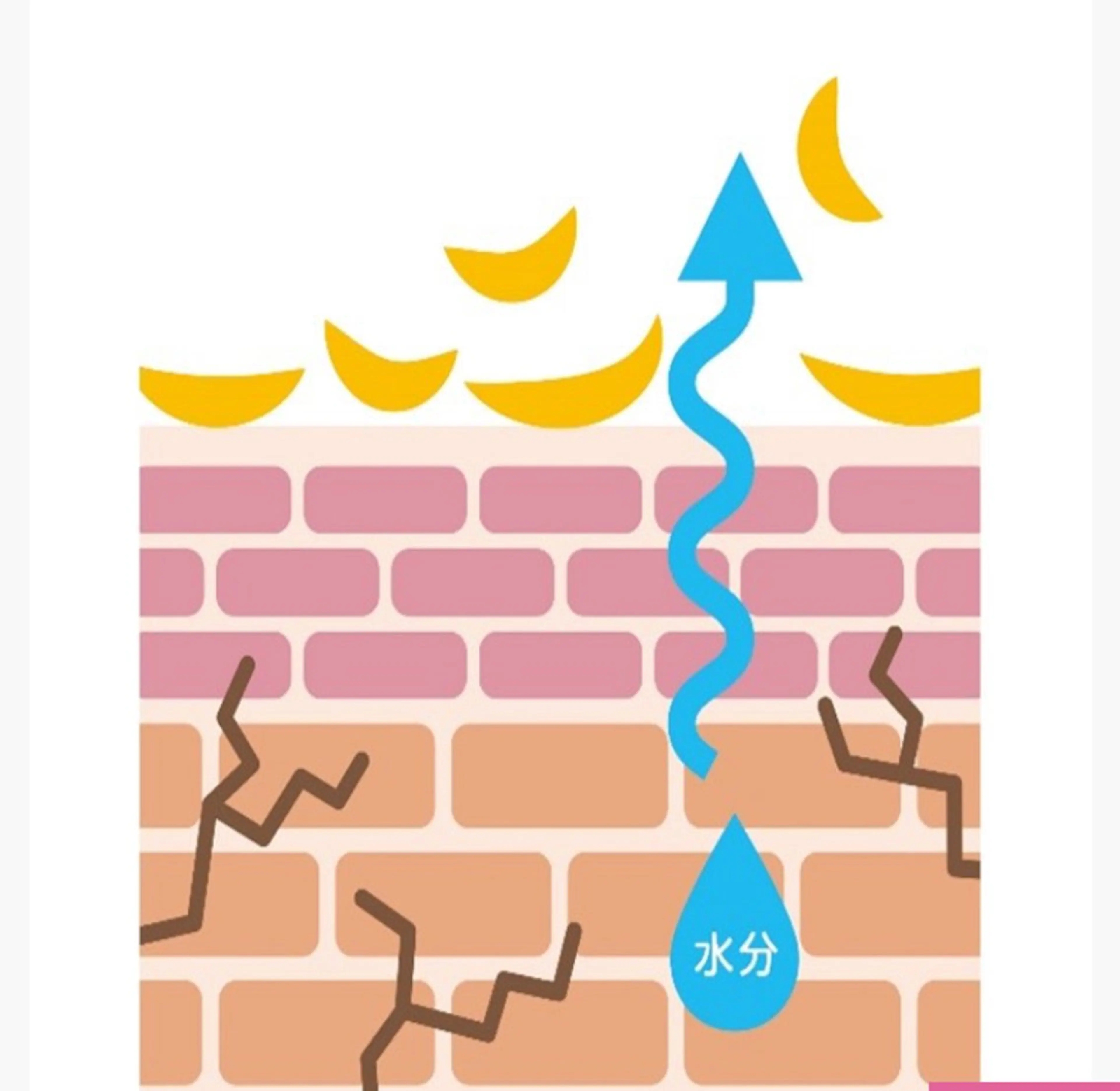 CPサロン　アルファカンパニー　本店所属・CPサロン本店 吉冨のエステ・リラクイメージ