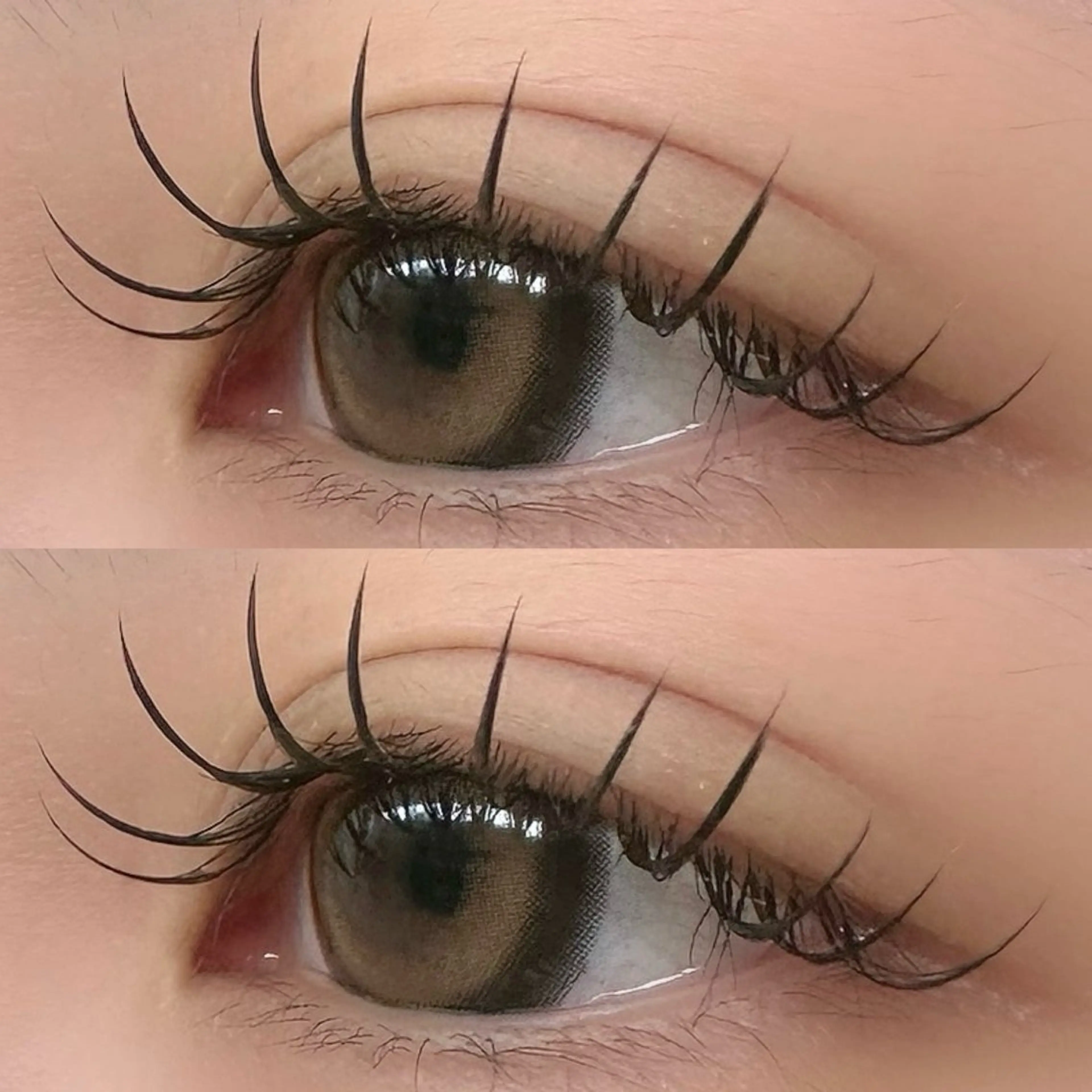 フラットマットラッシュ80〜100本 ¥6,050→¥4,950の写真