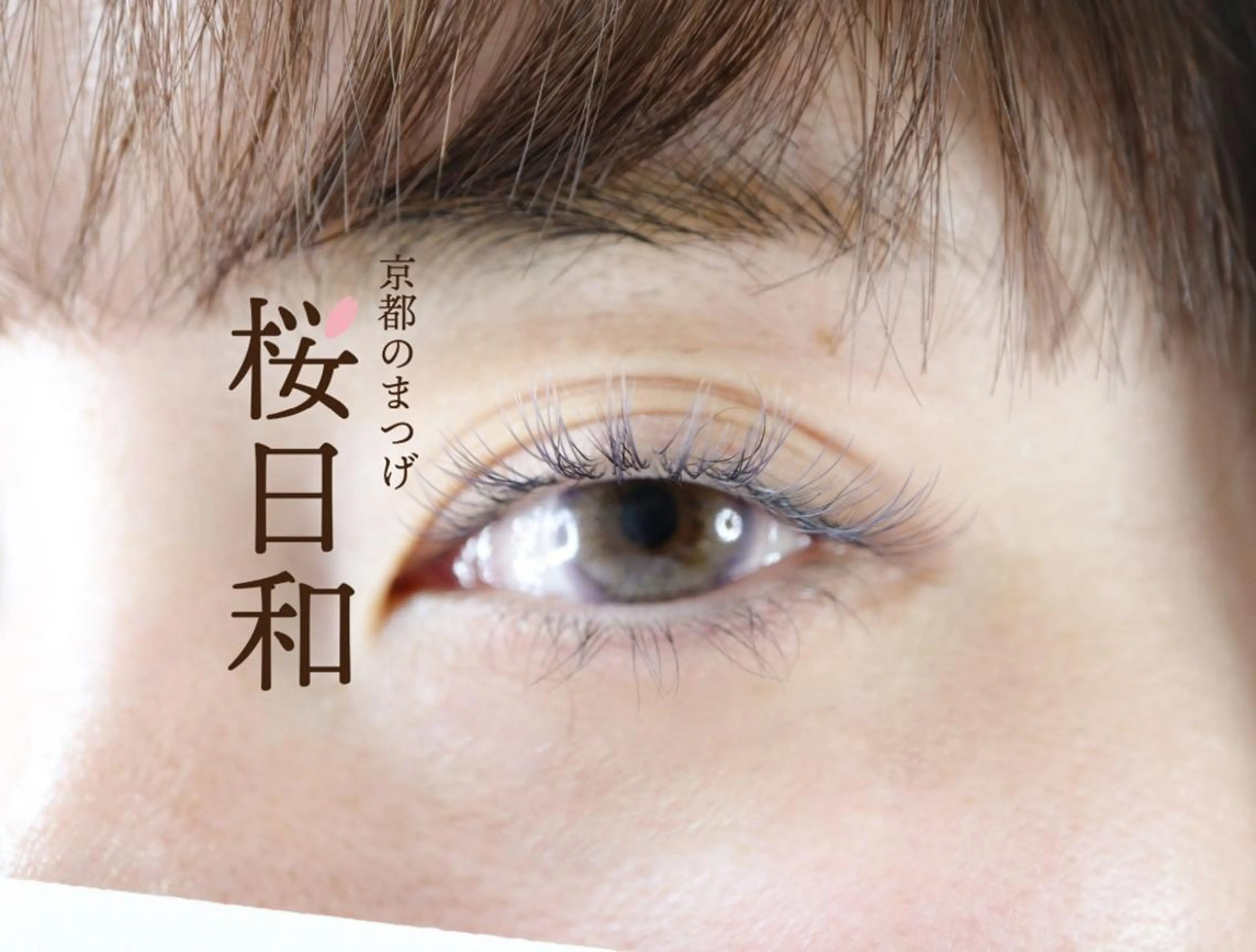 マツエク・マツパ フラットラッシュ Jカール まつげパーマ セクシー 一重×まつ毛パーマ 京都のまつげ桜日和 小島美桜のマツエク・マツパデザイン