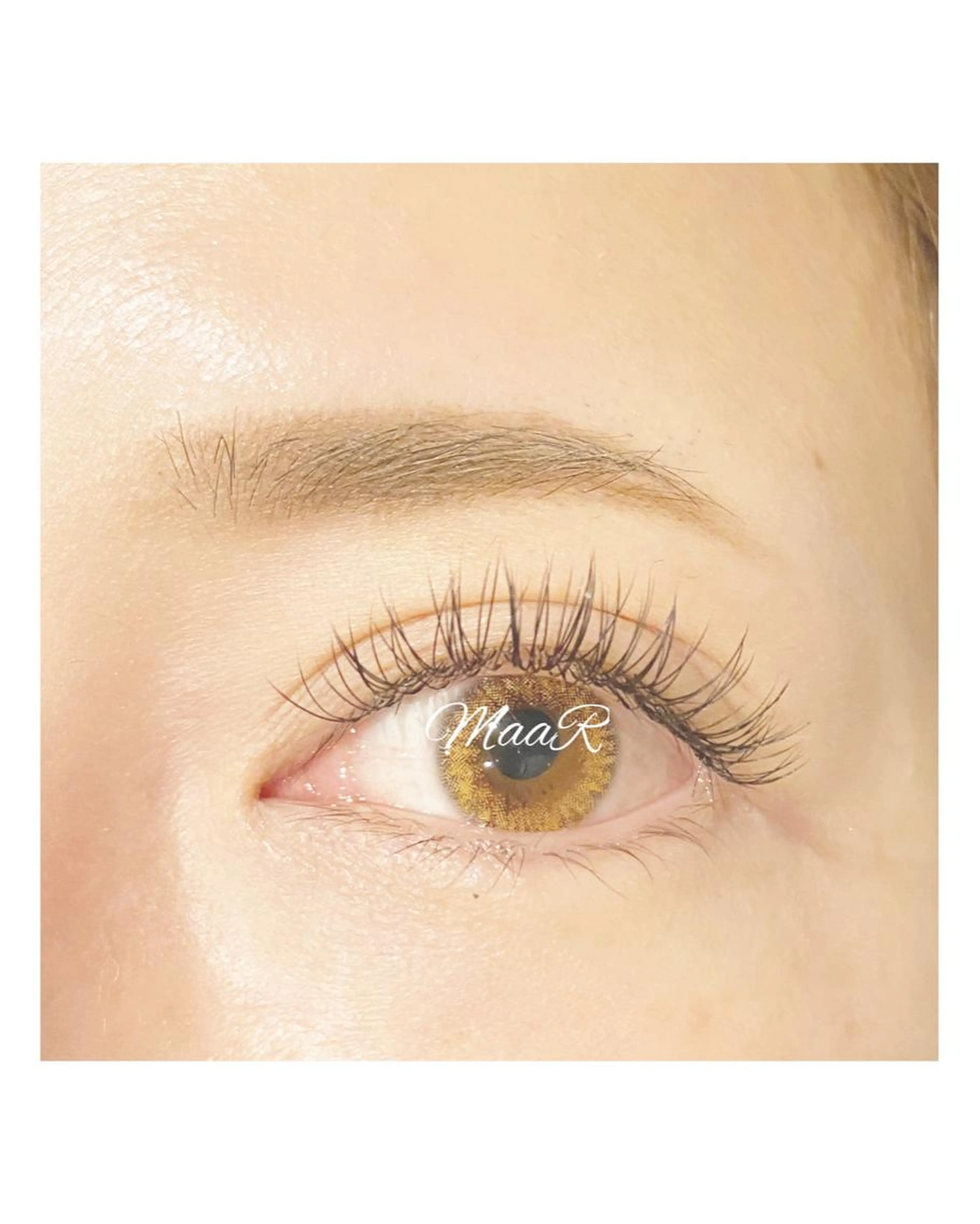 🦓エアーフラットラッシュ付け放題🦓オフ、前処理込み🦓何度目でもお使いくださいの写真