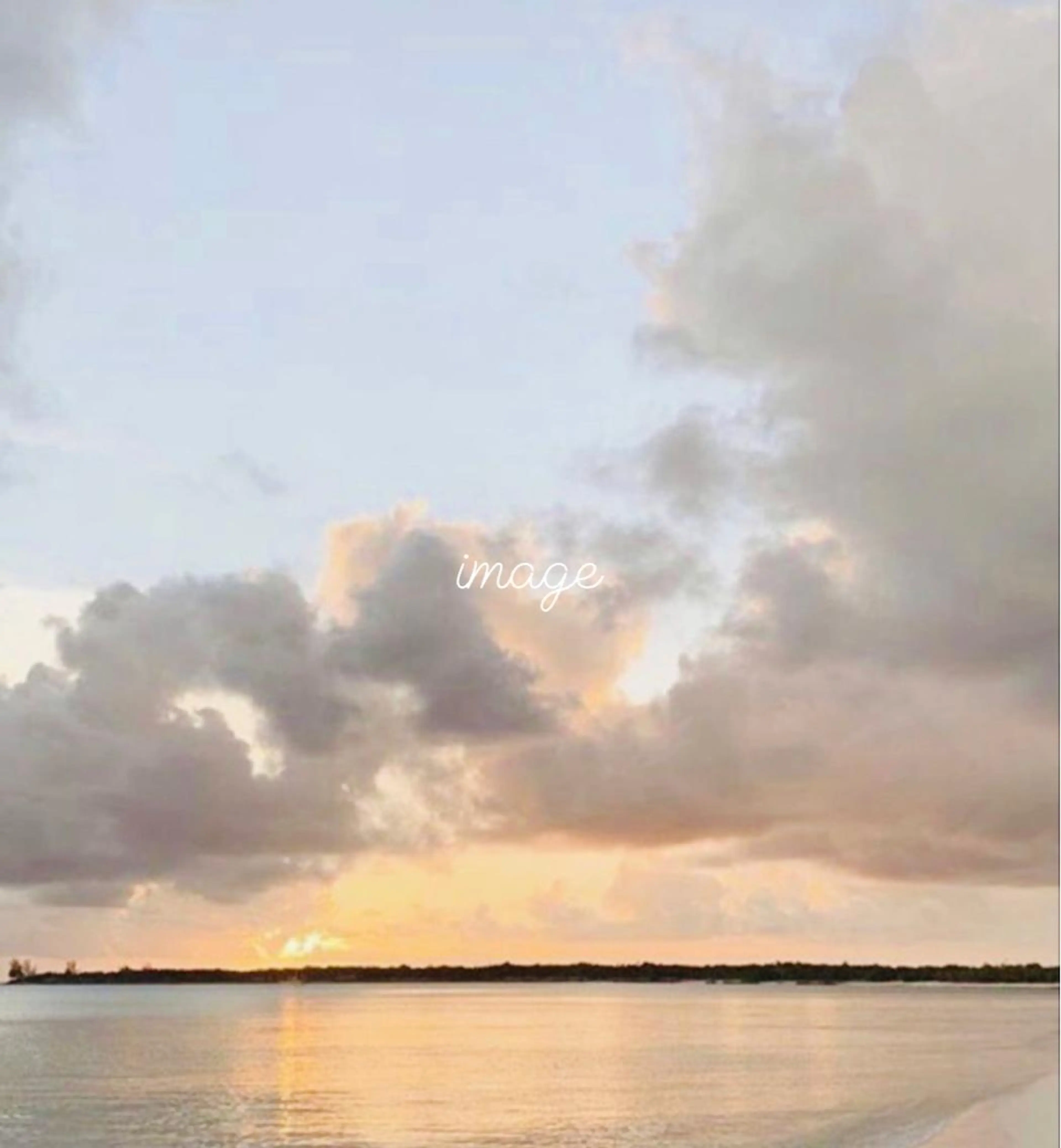 🌙透明感カラー/ 丁寧施術|松本のヘアスタイル