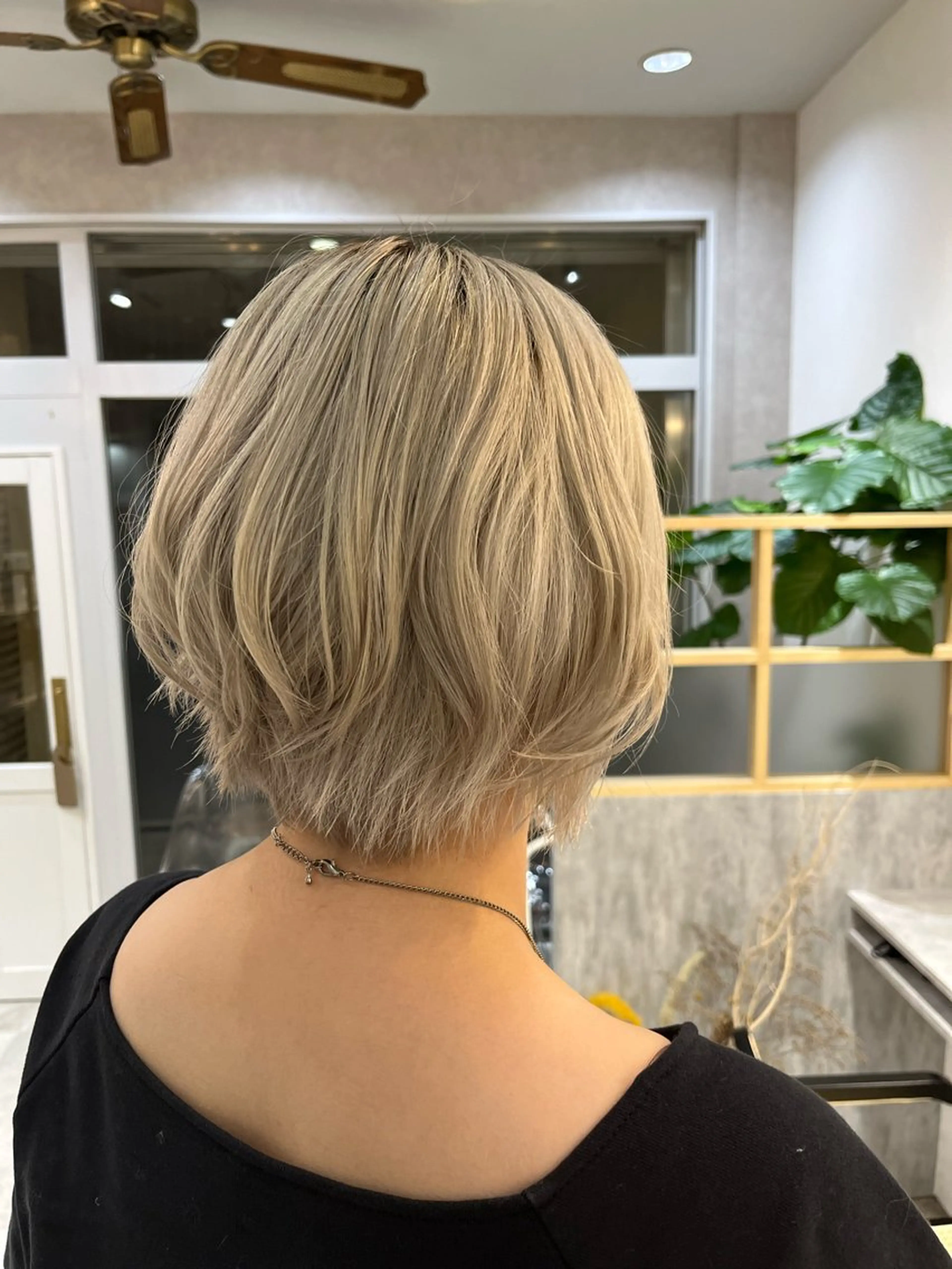 Bleach＋Full Colorの写真