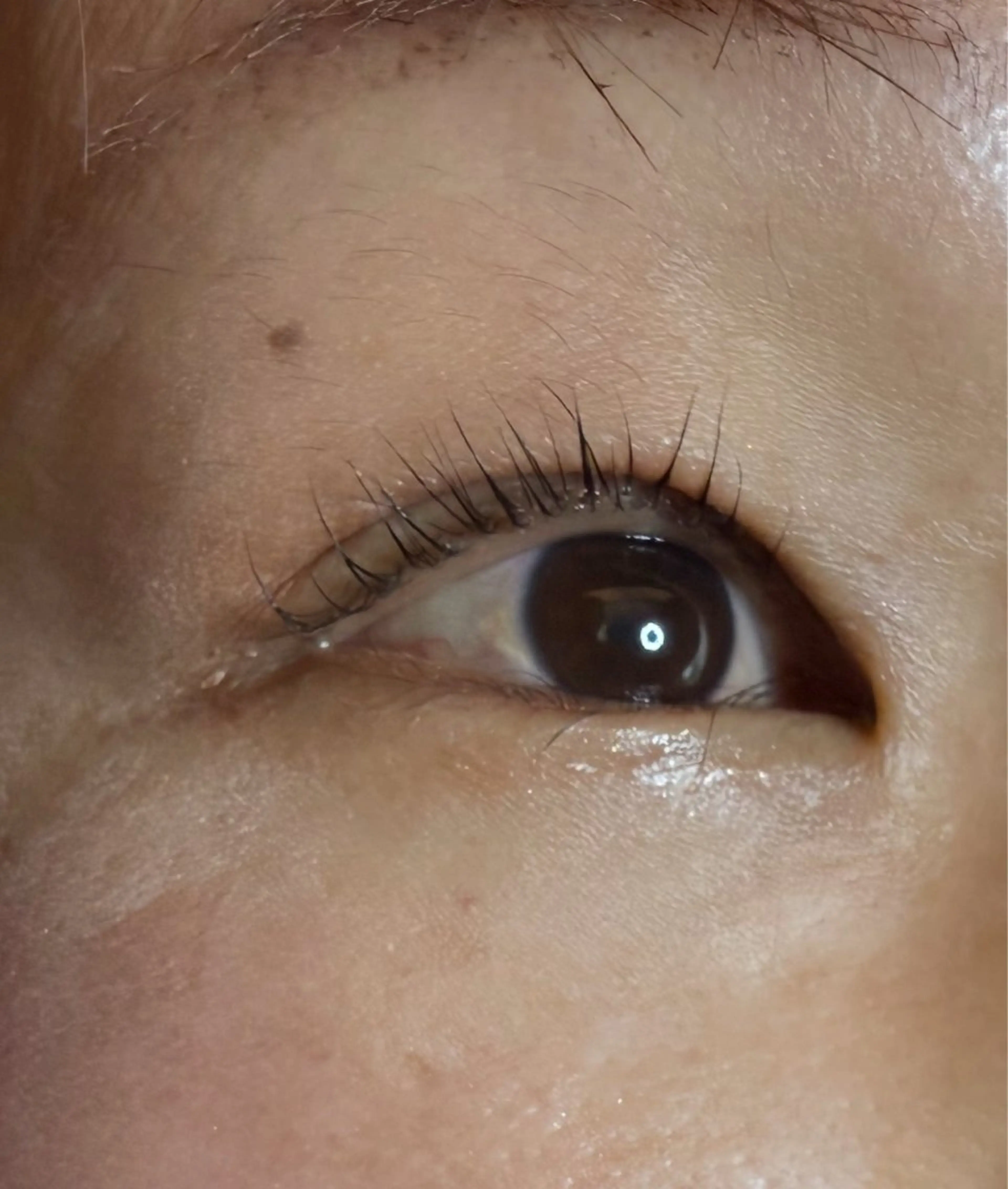 マツエク・マツパ 一重×まつ毛パーマ マツパ 山下 聖愛羅のマツエク・マツパデザイン