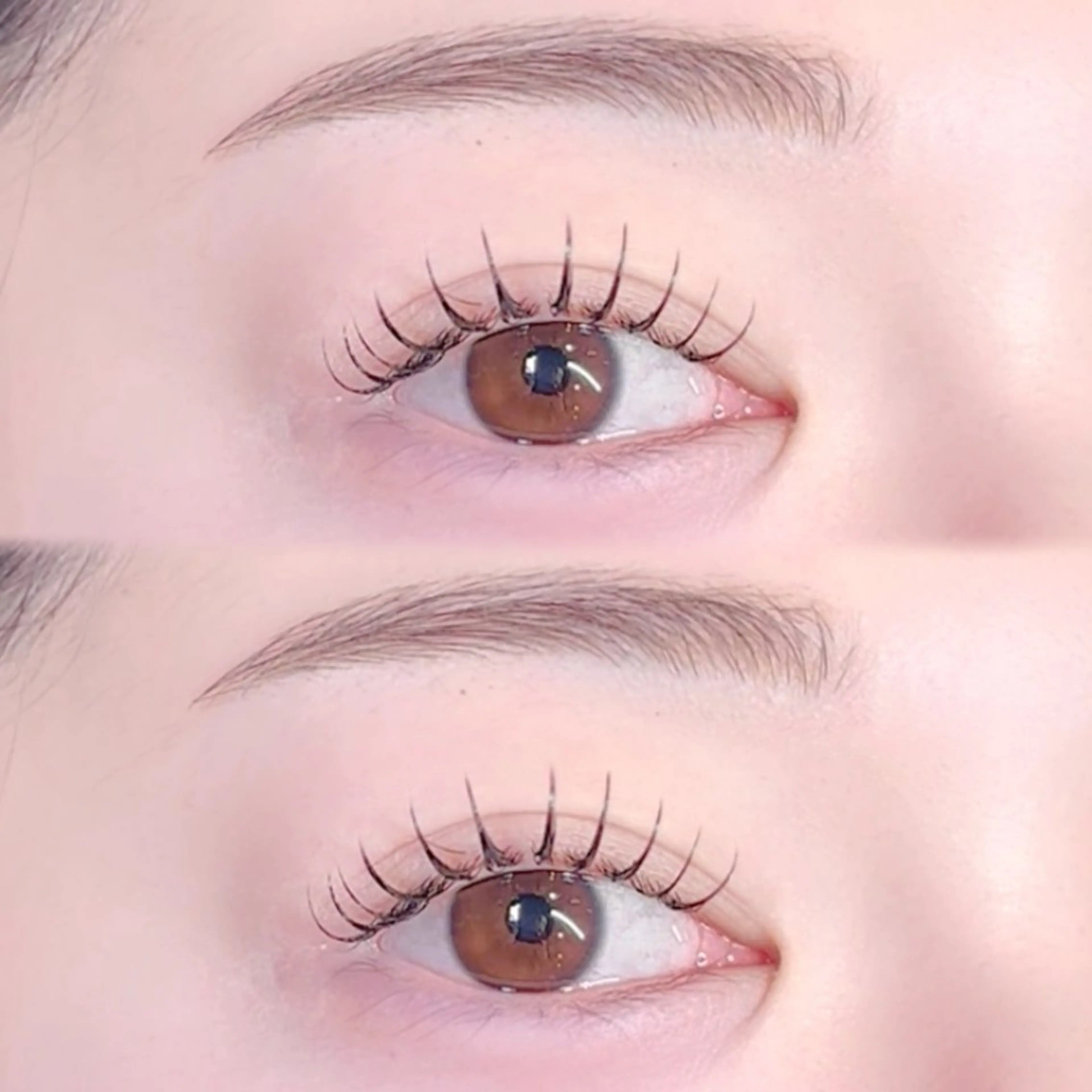 アイブロウ ワックス脱毛 眉カット その他(アイブロウ) nixie ゆいのマツエク・マツパデザイン