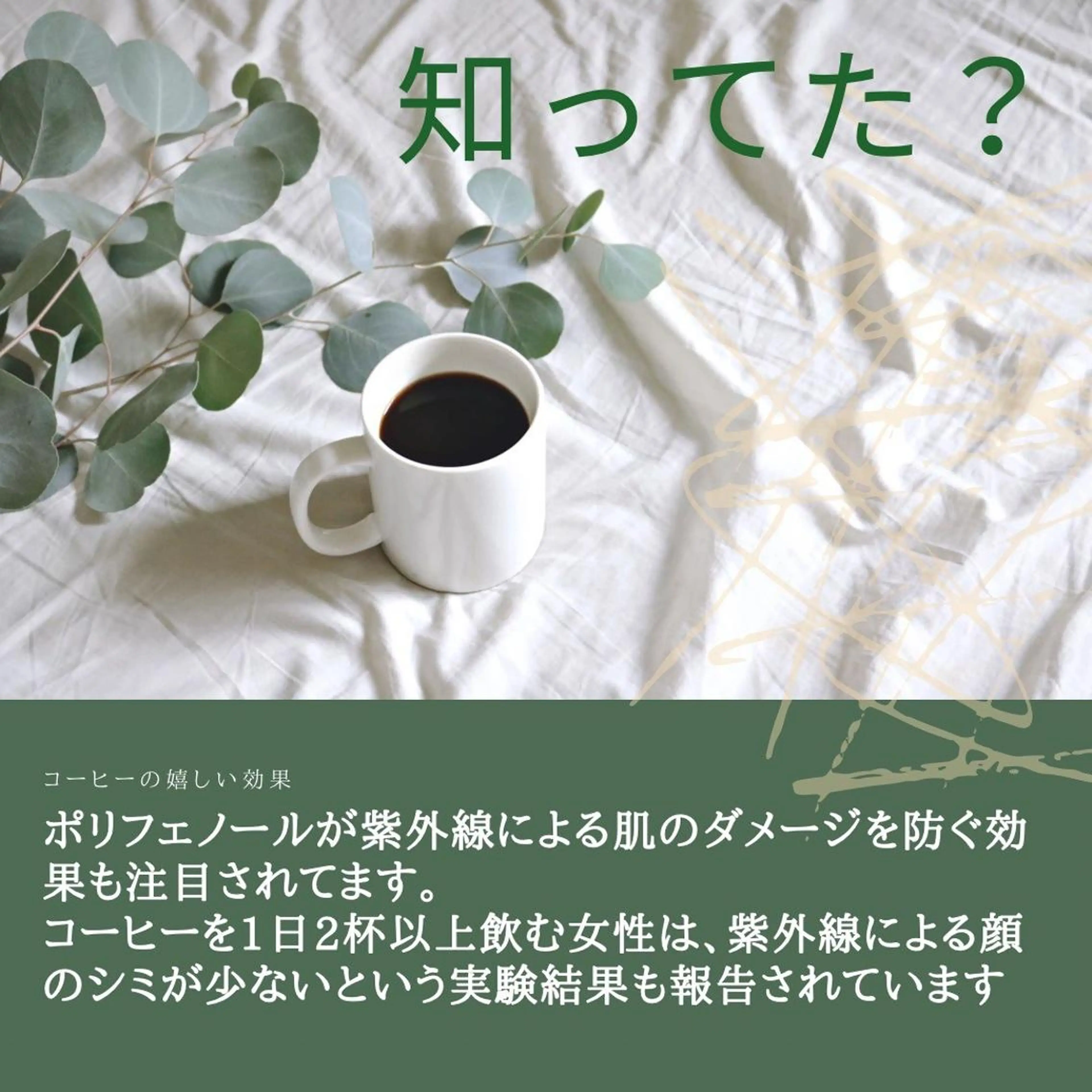 夏までに肌荒れ卒業 するサロン🌻のエステ・リラクイメージ