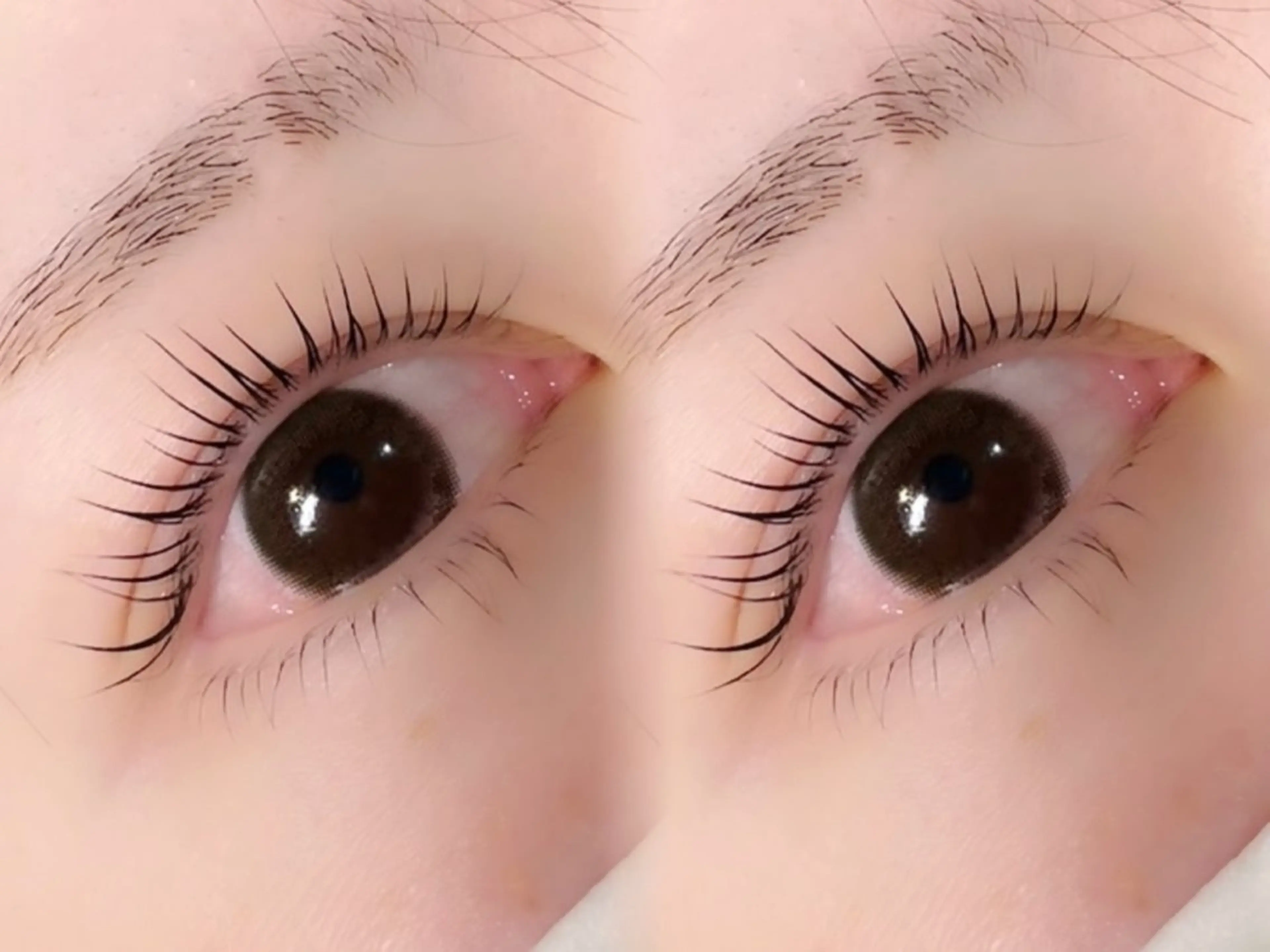 マツエク・マツパ マホ🐾 peep 蟹江店のマツエク・マツパデザイン