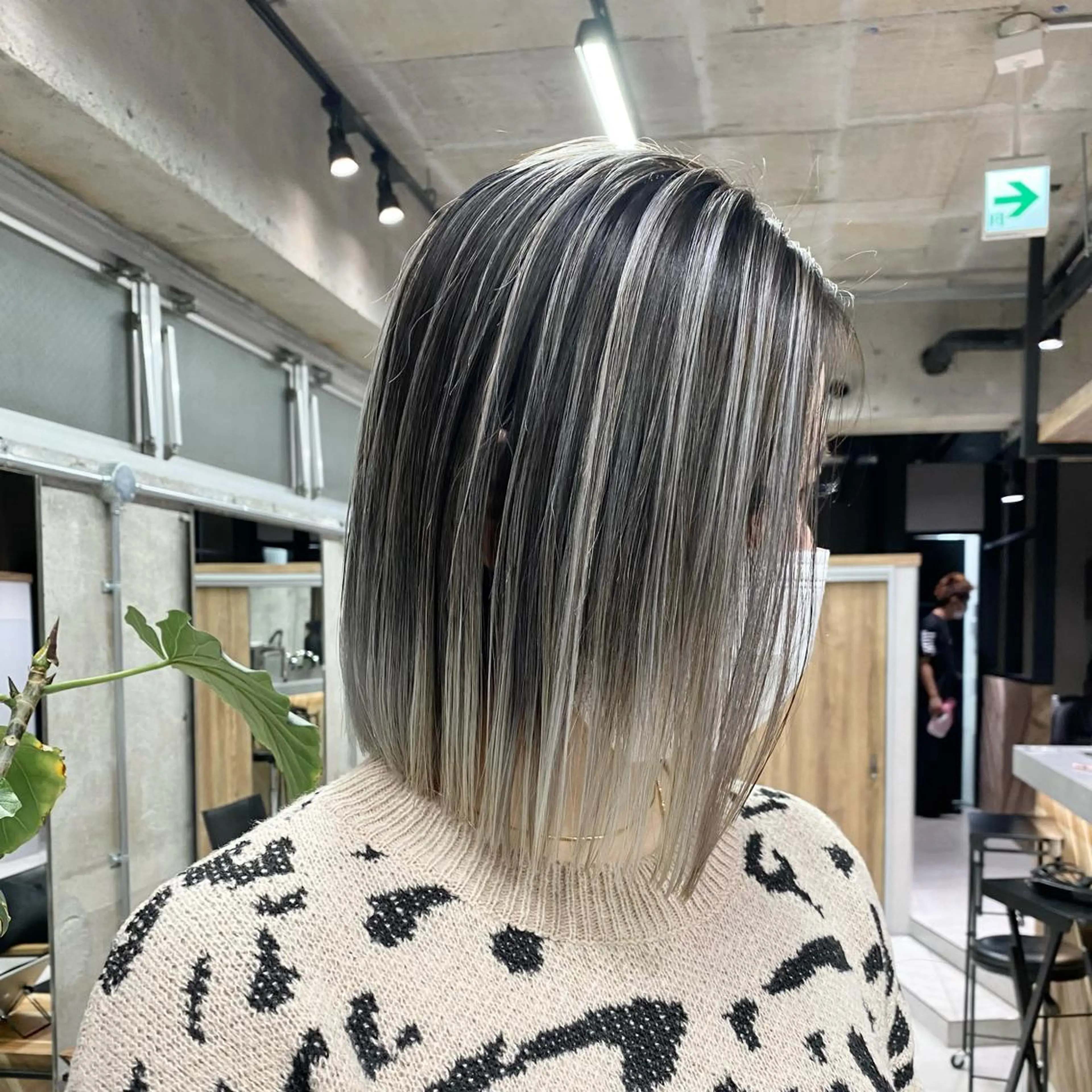 ショート カラー バレイヤージュ デザインカラー ハイライトカラー ハイライト レイヤーカット ヘアカラー 🌈透明感カラー ✨松田龍也🌈のヘアスタイル