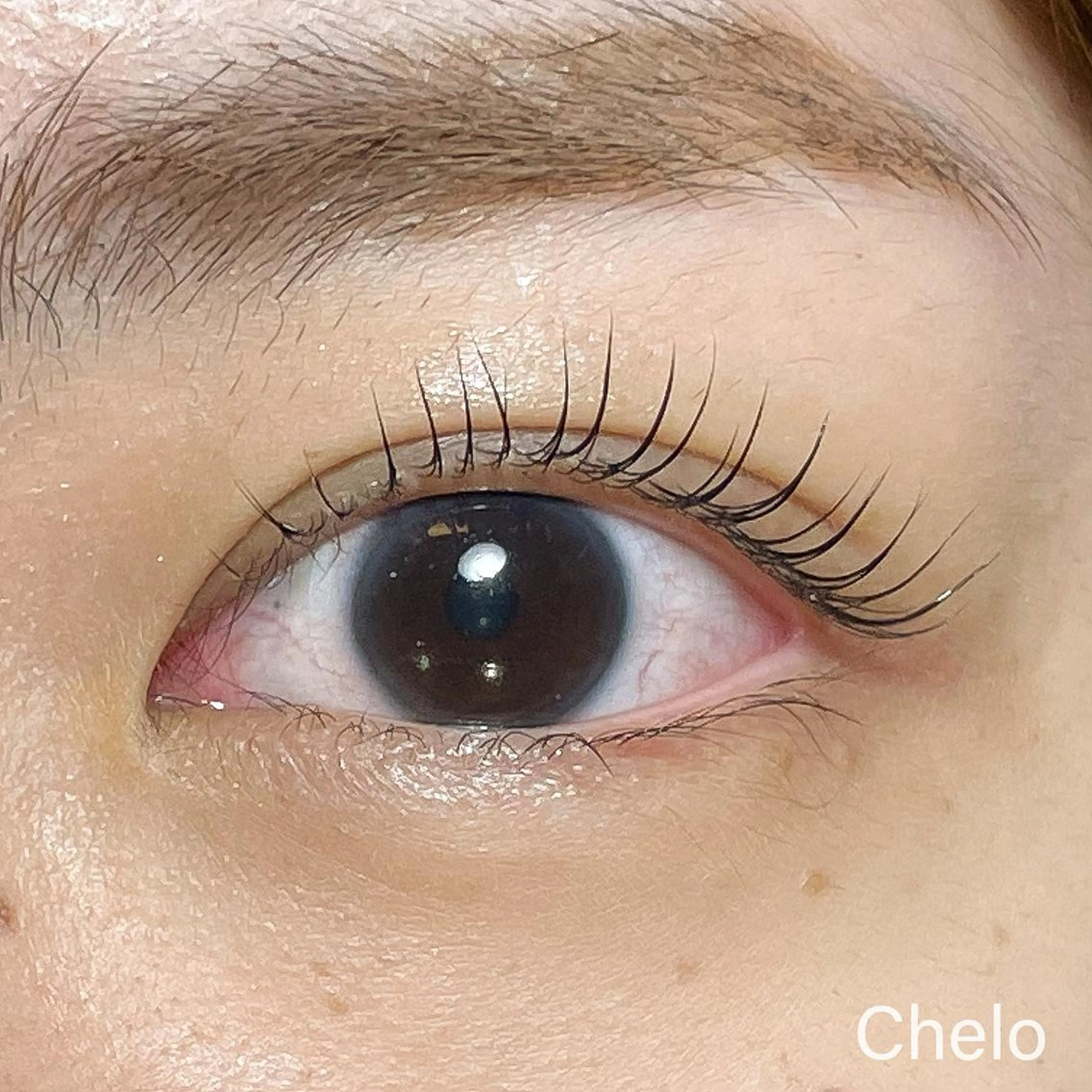 マツエク・マツパ 向井 萌華の眉毛・アイブロウイメージ