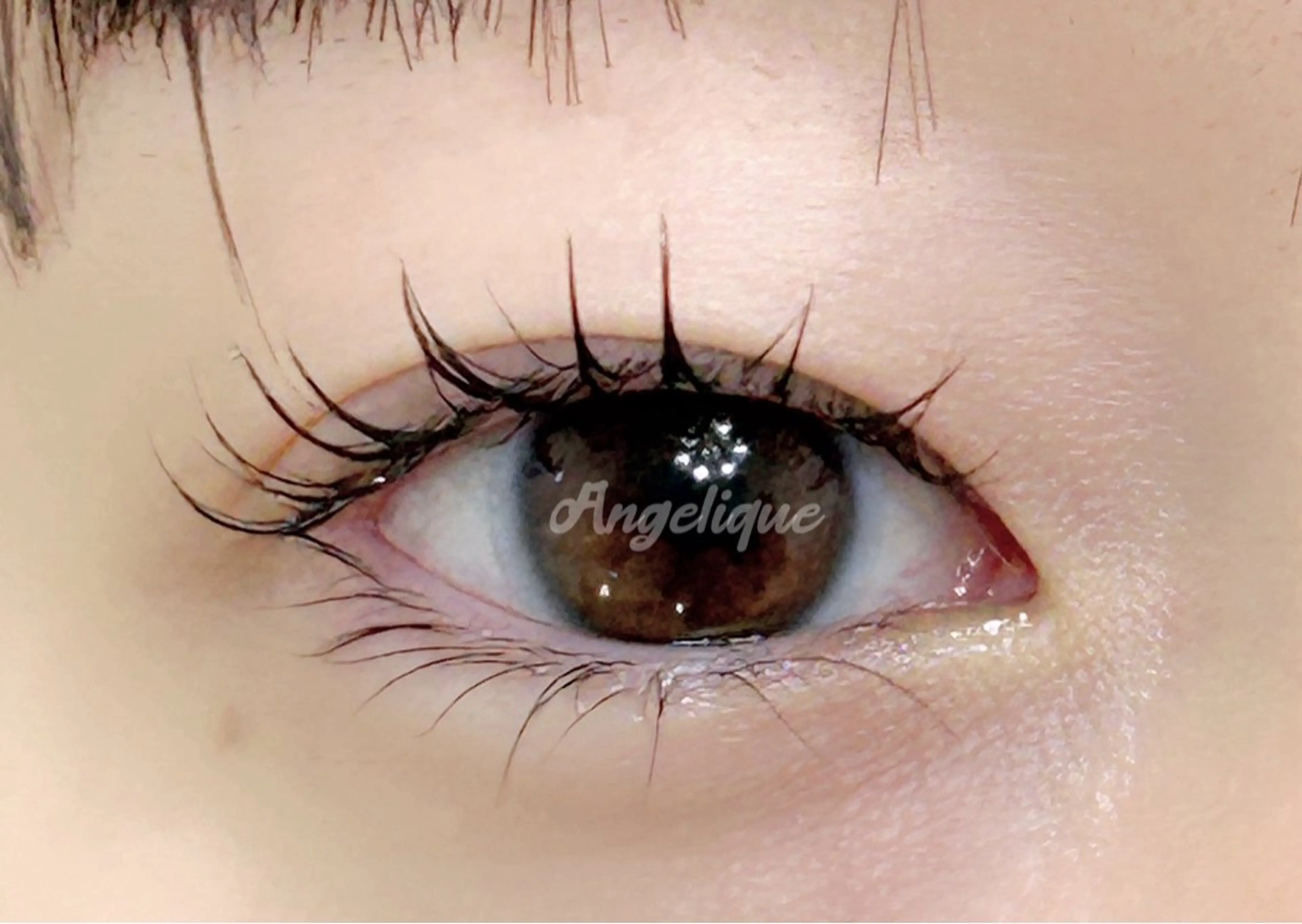 《下ラッシュリフトカール》👀💡アイシャンプー トリートメント お仕上げコーティング 付き✨️の写真