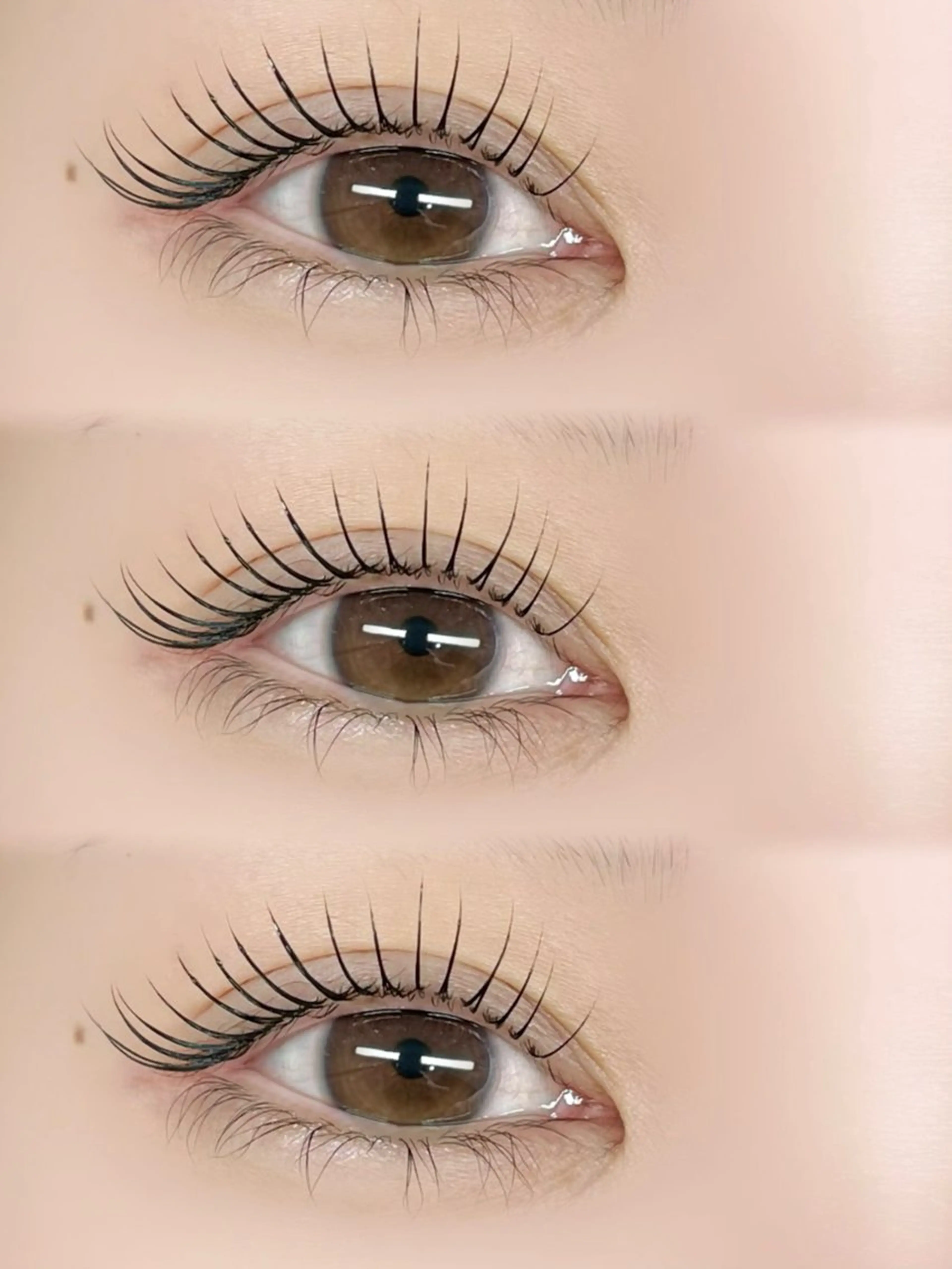 🚨23日限定特別価格【🌷撮影可能な方限定価格🌷】大人気⭐︎ケラチンラッシュリフト(どなたでも可能です🙆‍♀️)の写真