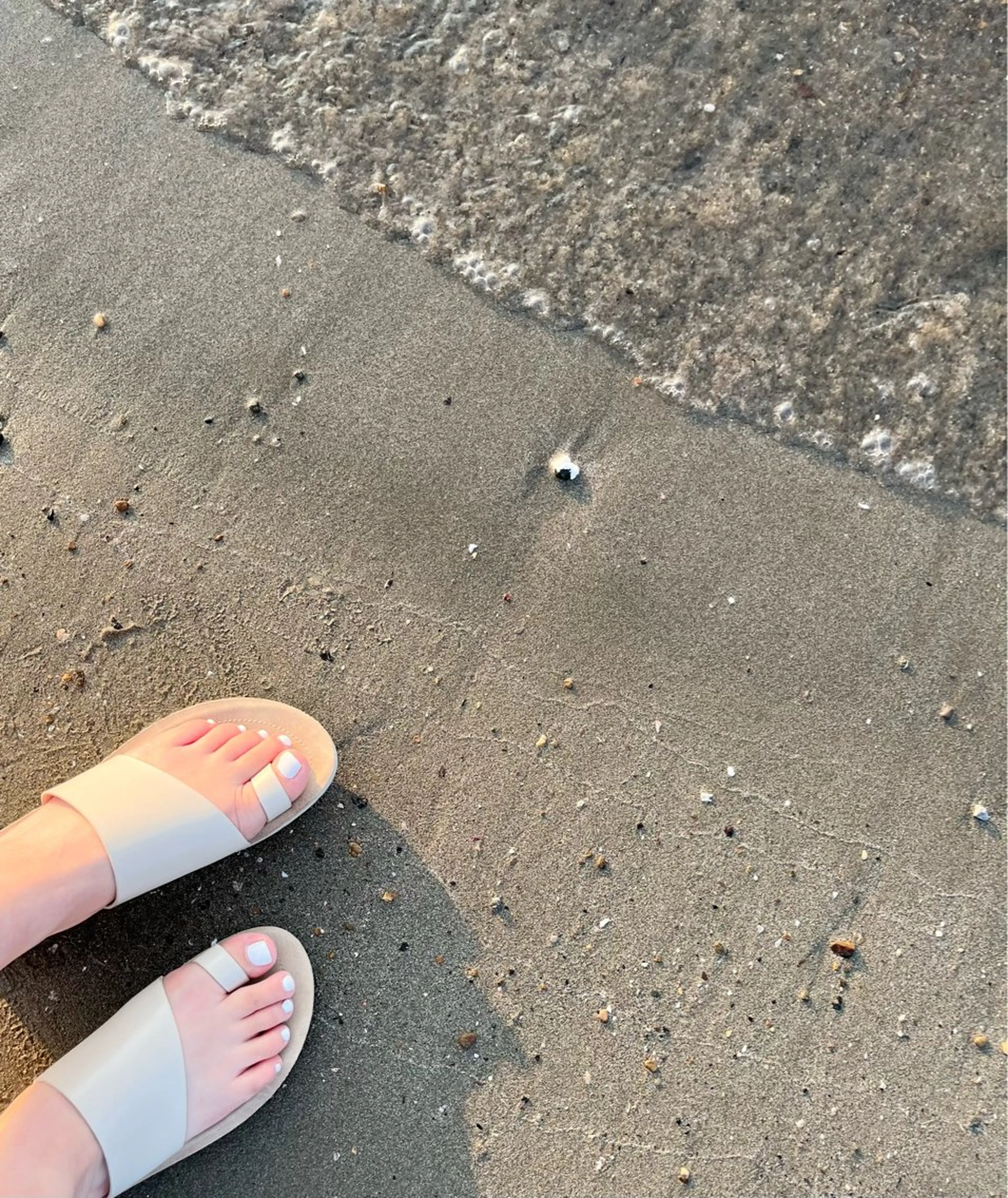 ワンカラーの写真