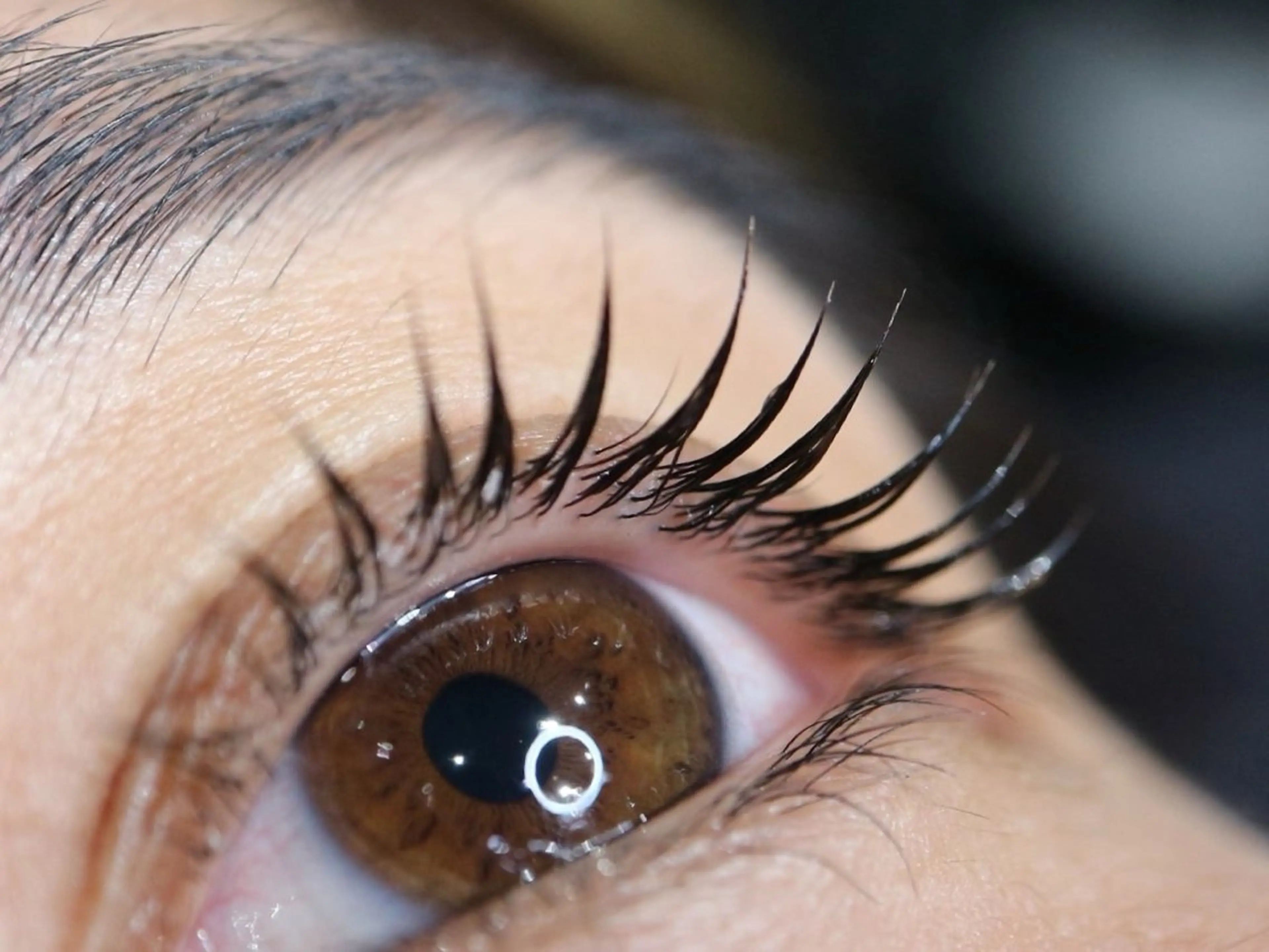 マツエク・マツパ ナチュラル 一重×まつ毛パーマ 岩田 礼気のマツエク・マツパデザイン