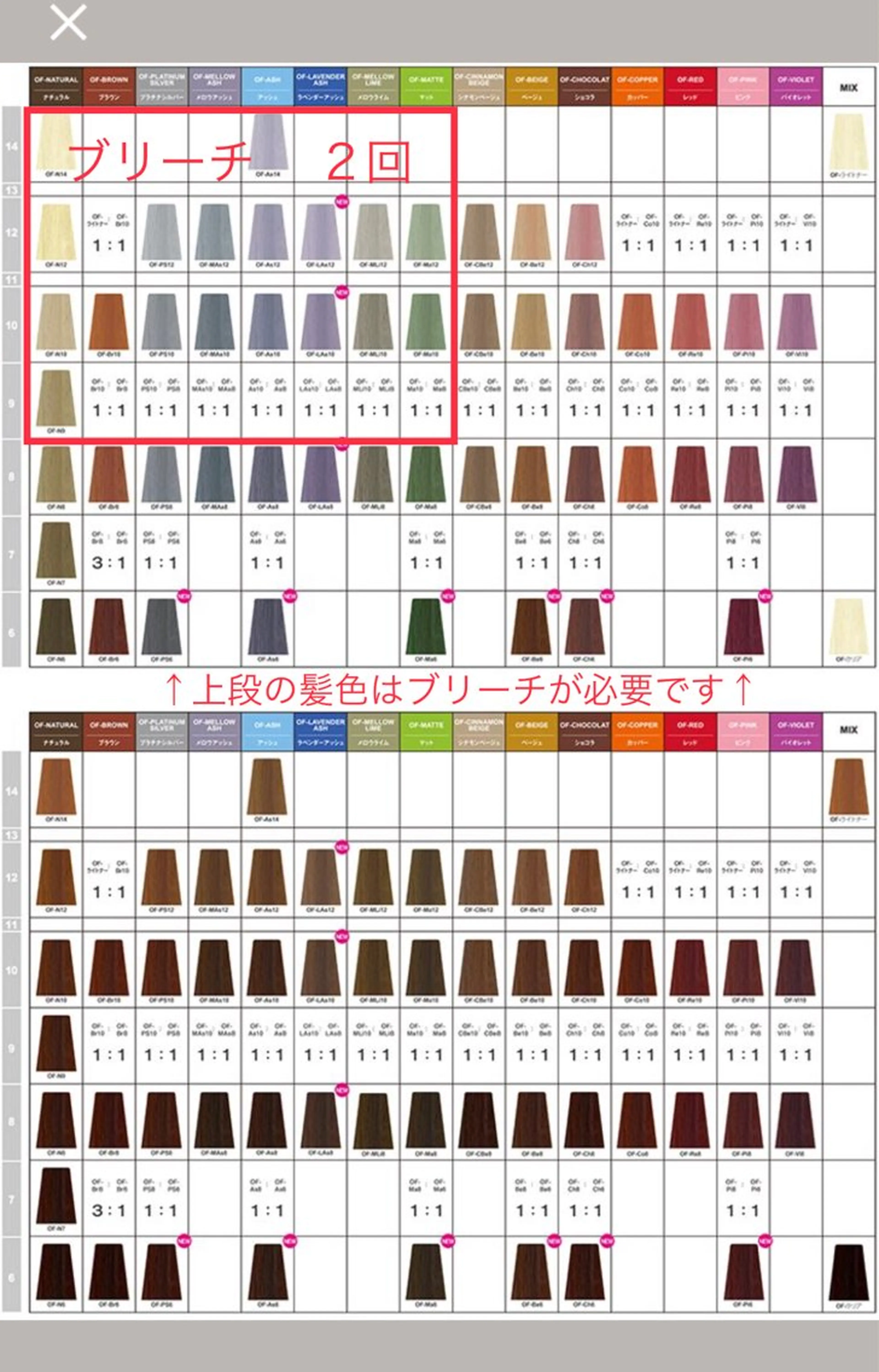 🉐カラー【お勧め】の写真